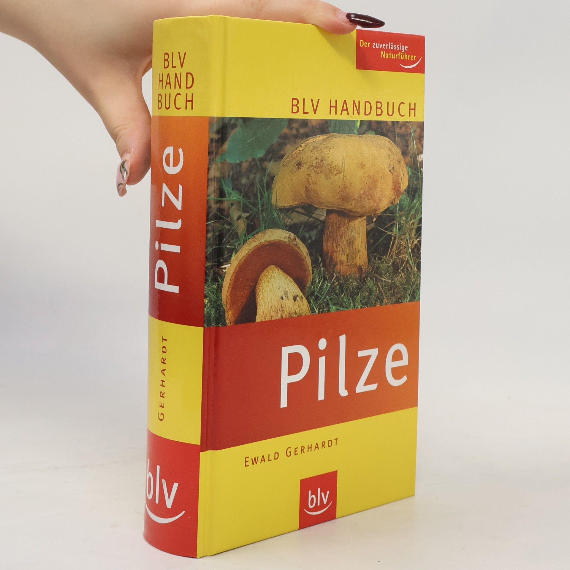 Ewald Gerhardt BLV-Handbuch Pilze