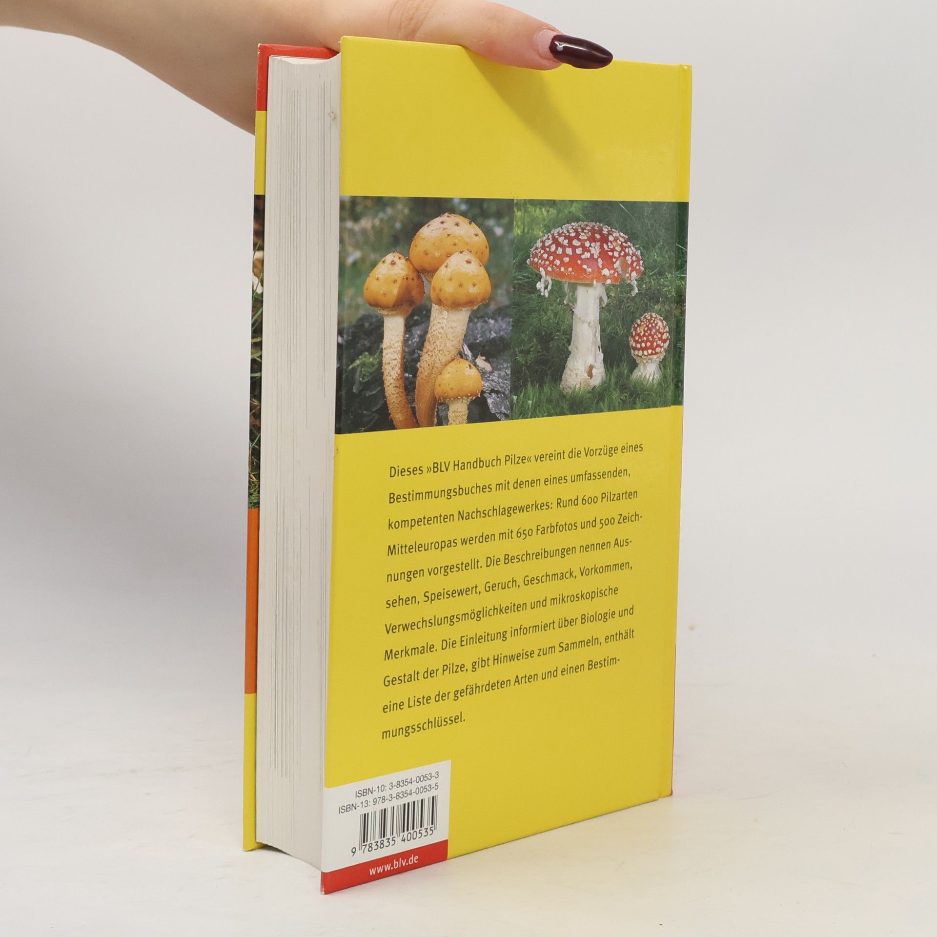Ewald Gerhardt BLV-Handbuch Pilze