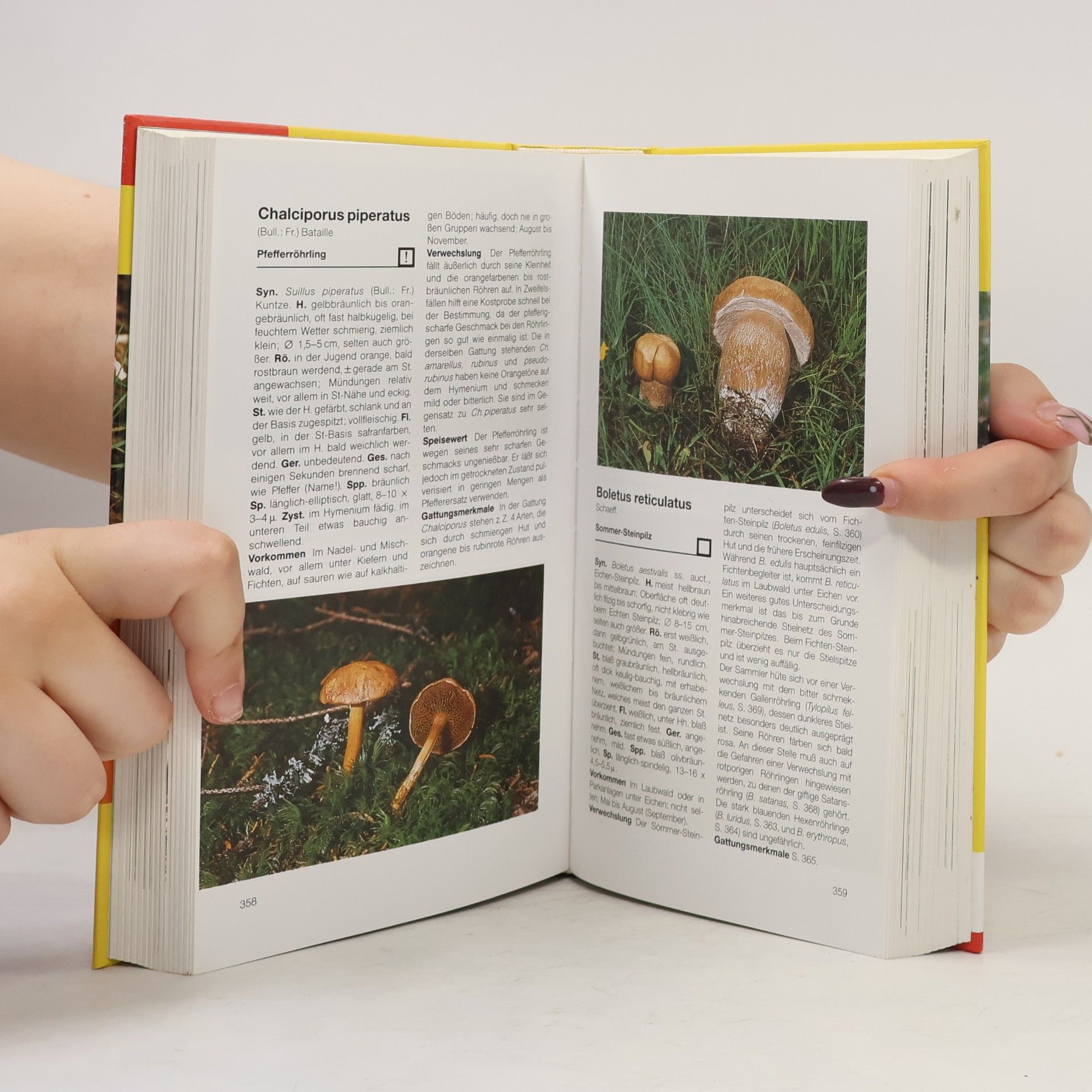 Ewald Gerhardt BLV-Handbuch Pilze
