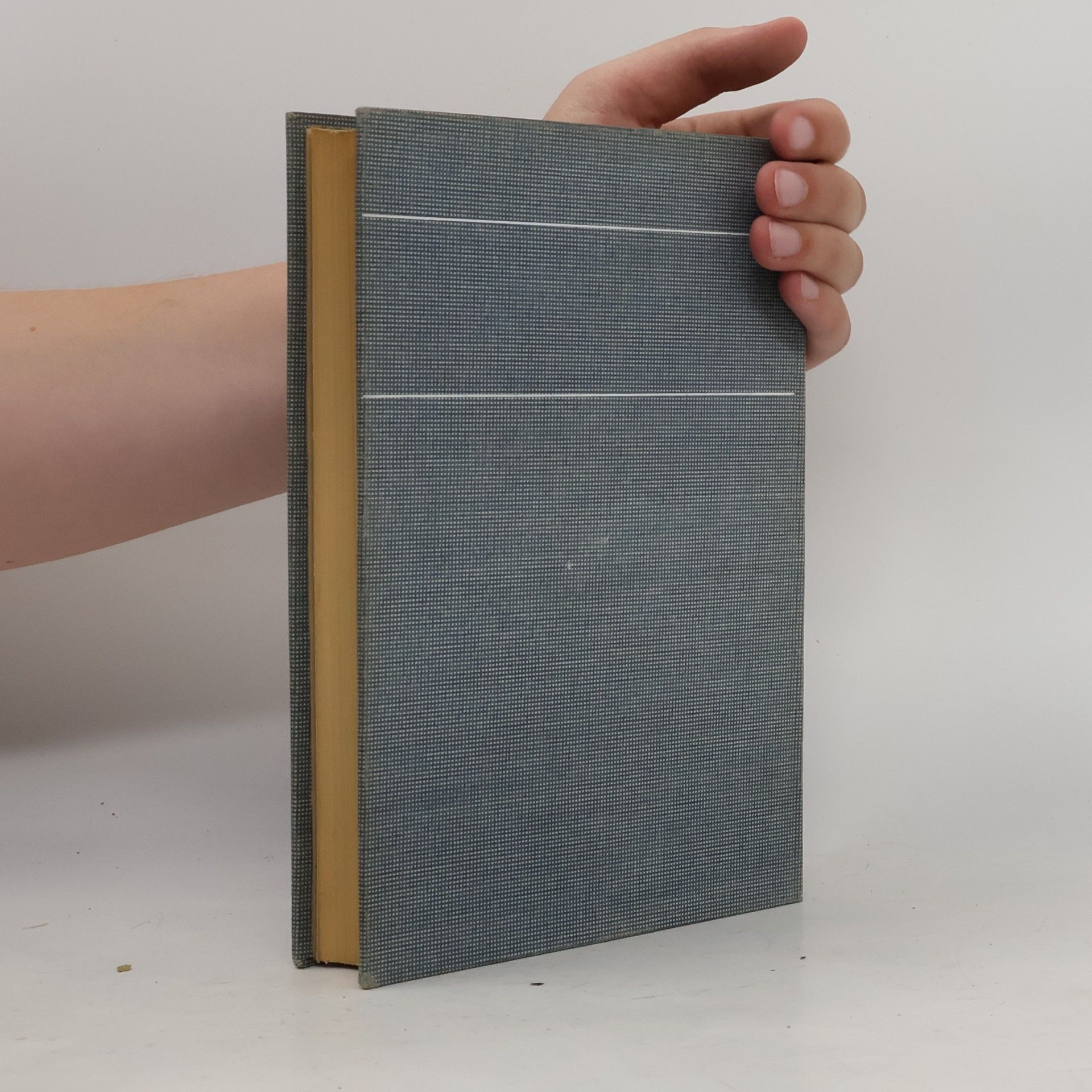 Autorenkollektiv Basler Jahrbuch 1904