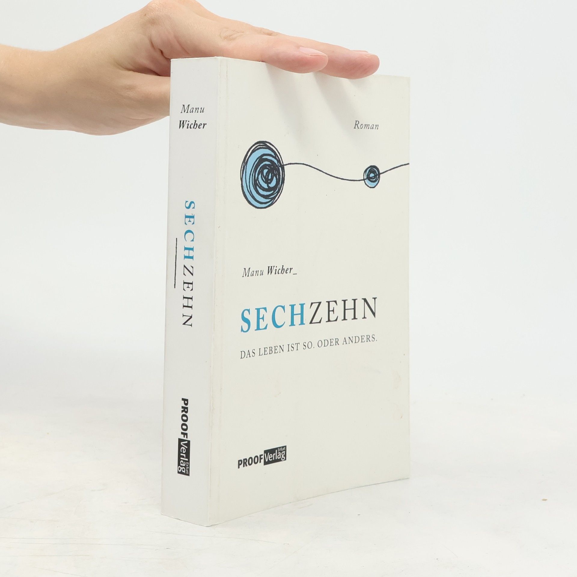 Manu Wicher Sechzehn. Das Leben ist so. Oder anders.
