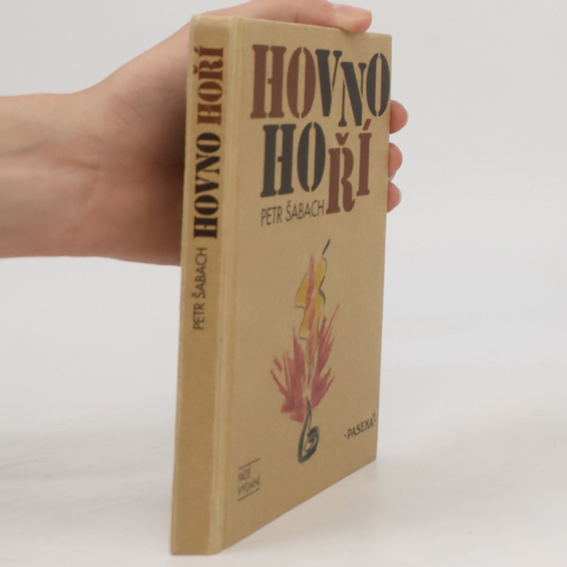 Petr Šabach Hovno hoří