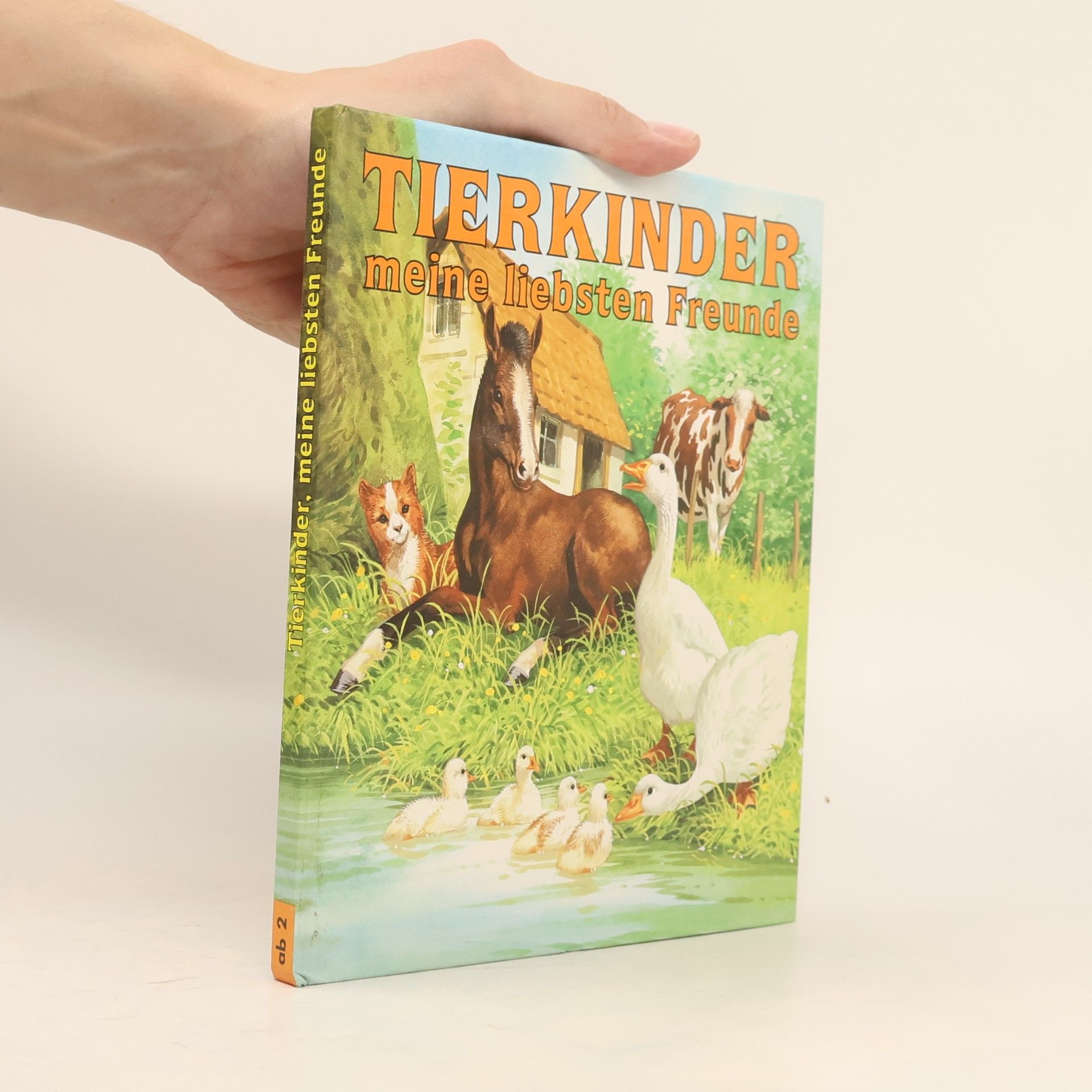 Autorenkollektiv Tierkinder