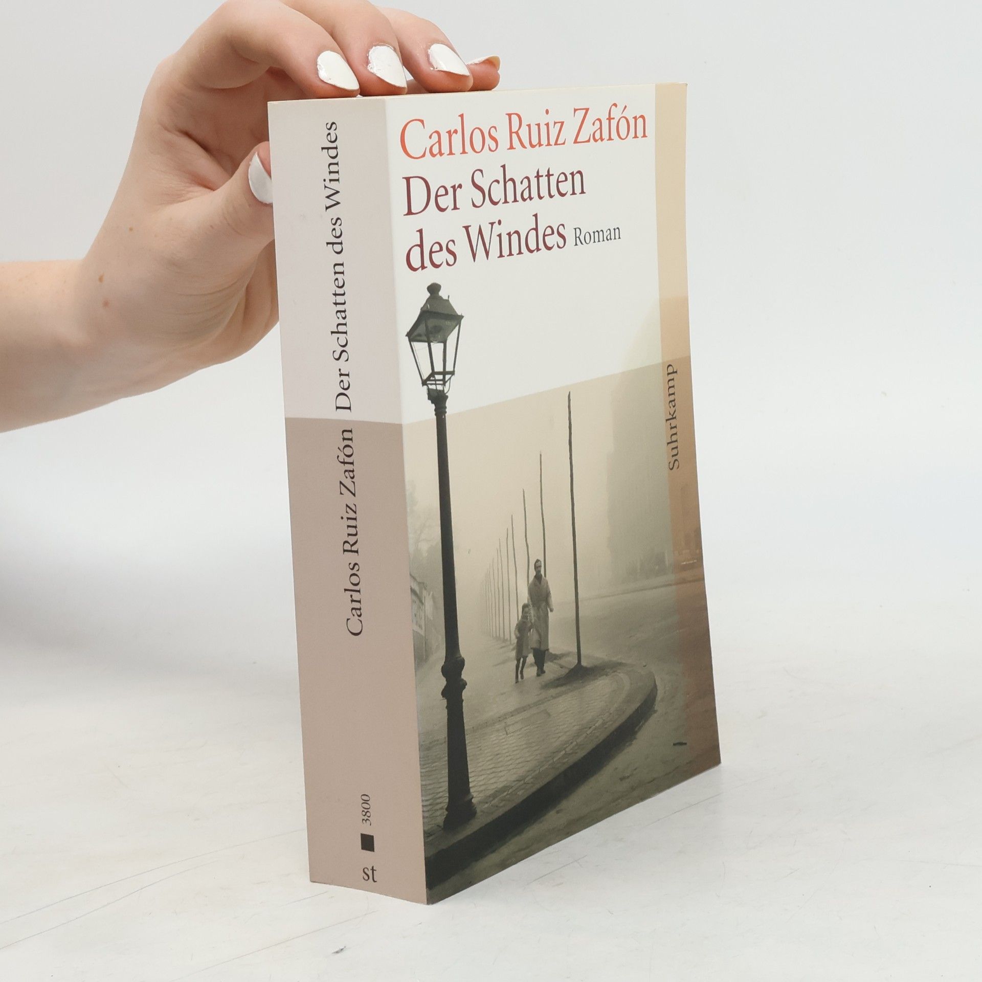 Carlos Ruiz Zafón Der Schatten des Windes