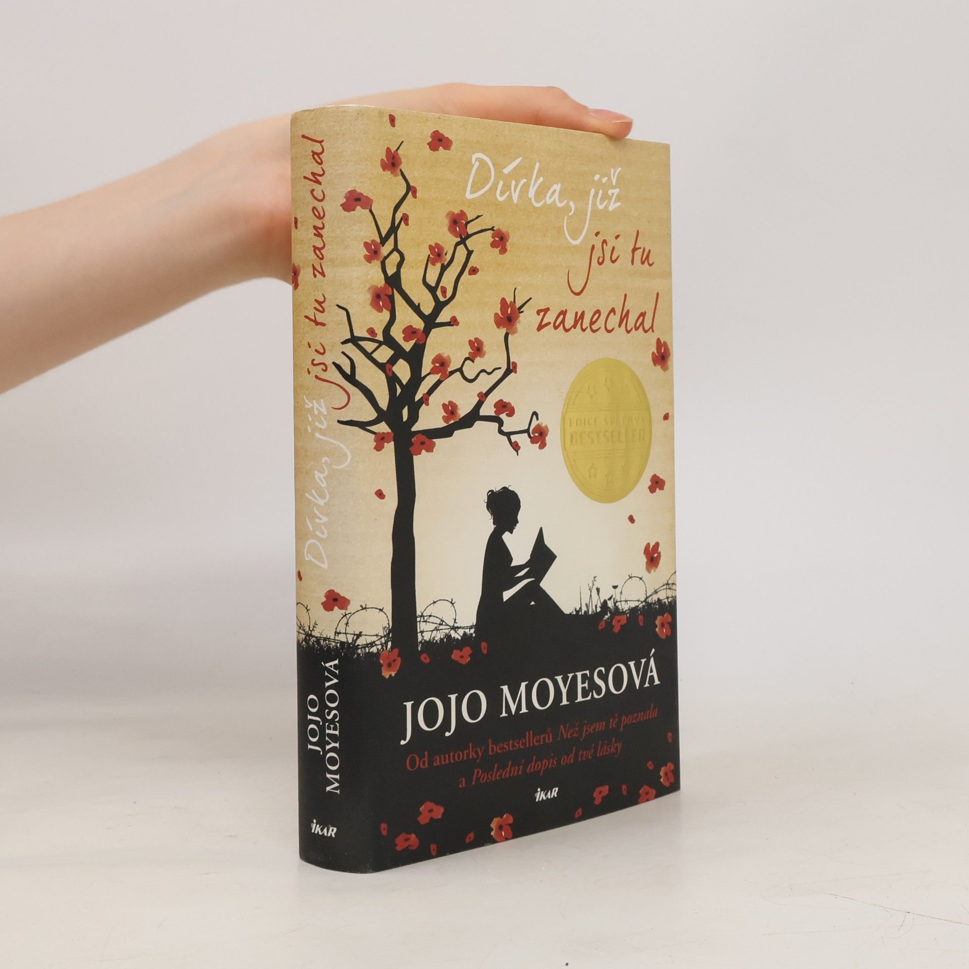Jojo Moyes Dívka, již jsi tu zanechal