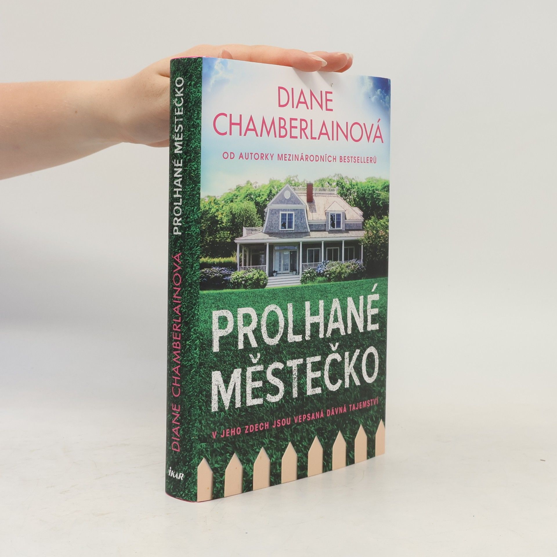 Diane Chamberlain Prolhané městečko