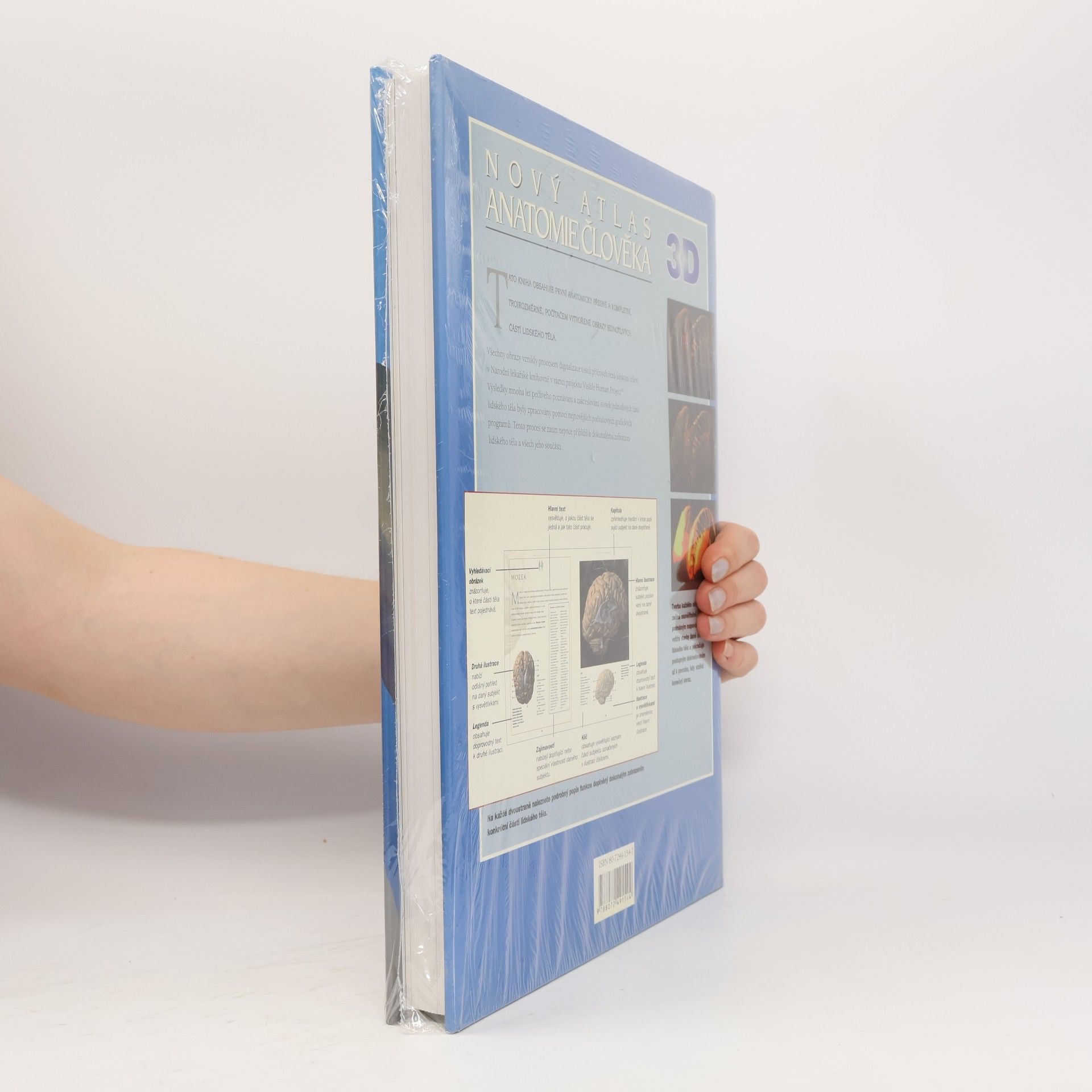 Autorenkollektiv Nový atlas anatomie člověka