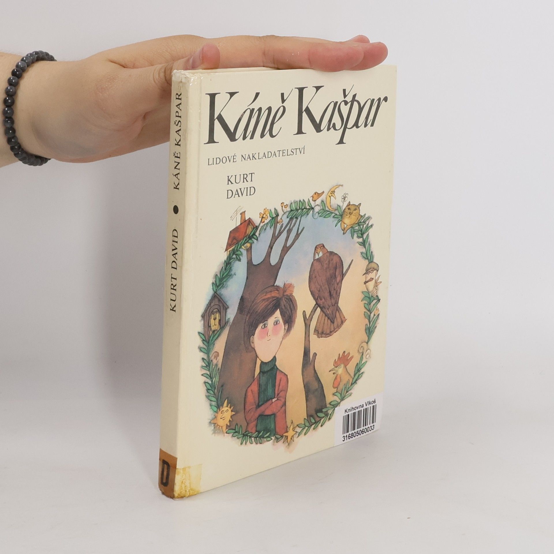 Káně Kašpar