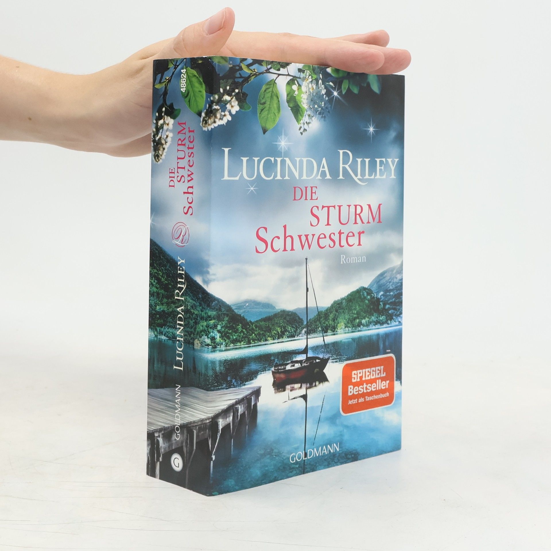Lucinda Riley Die Sturmschwester