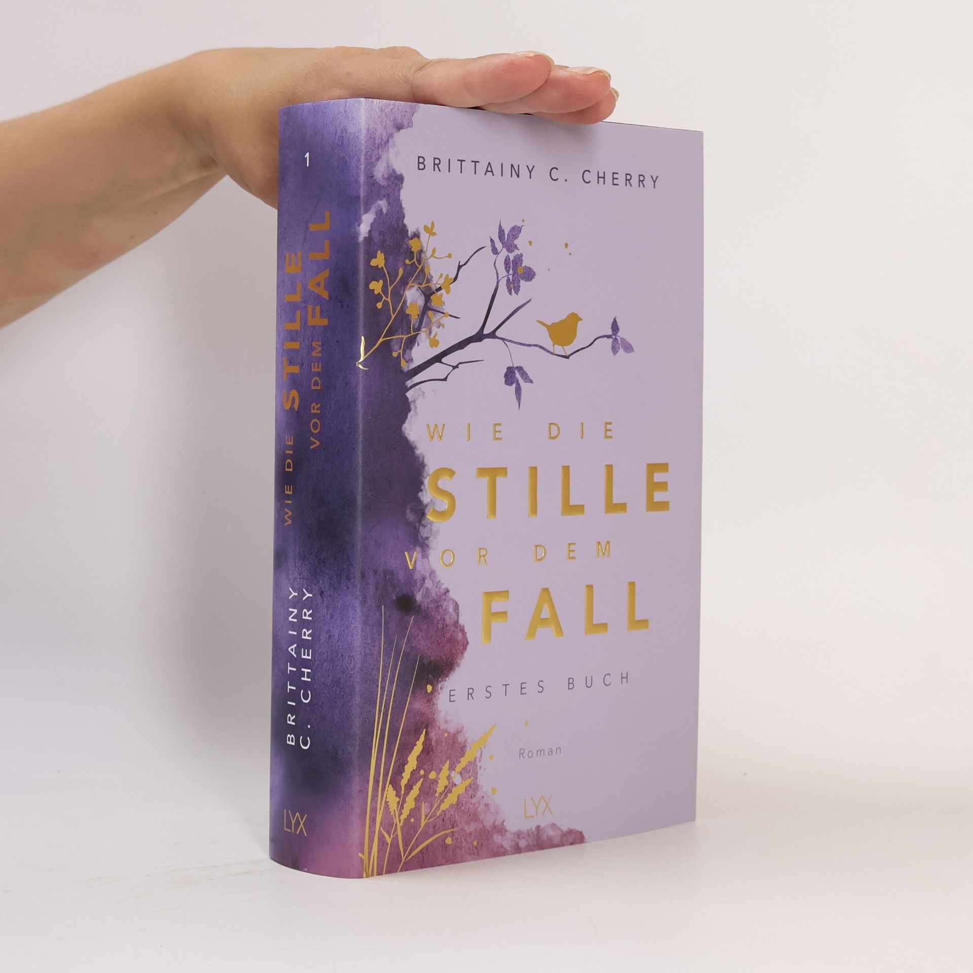 Brittainy C. Cherry Wie die Stille vor dem Fall. Erstes Buch: Special Edition