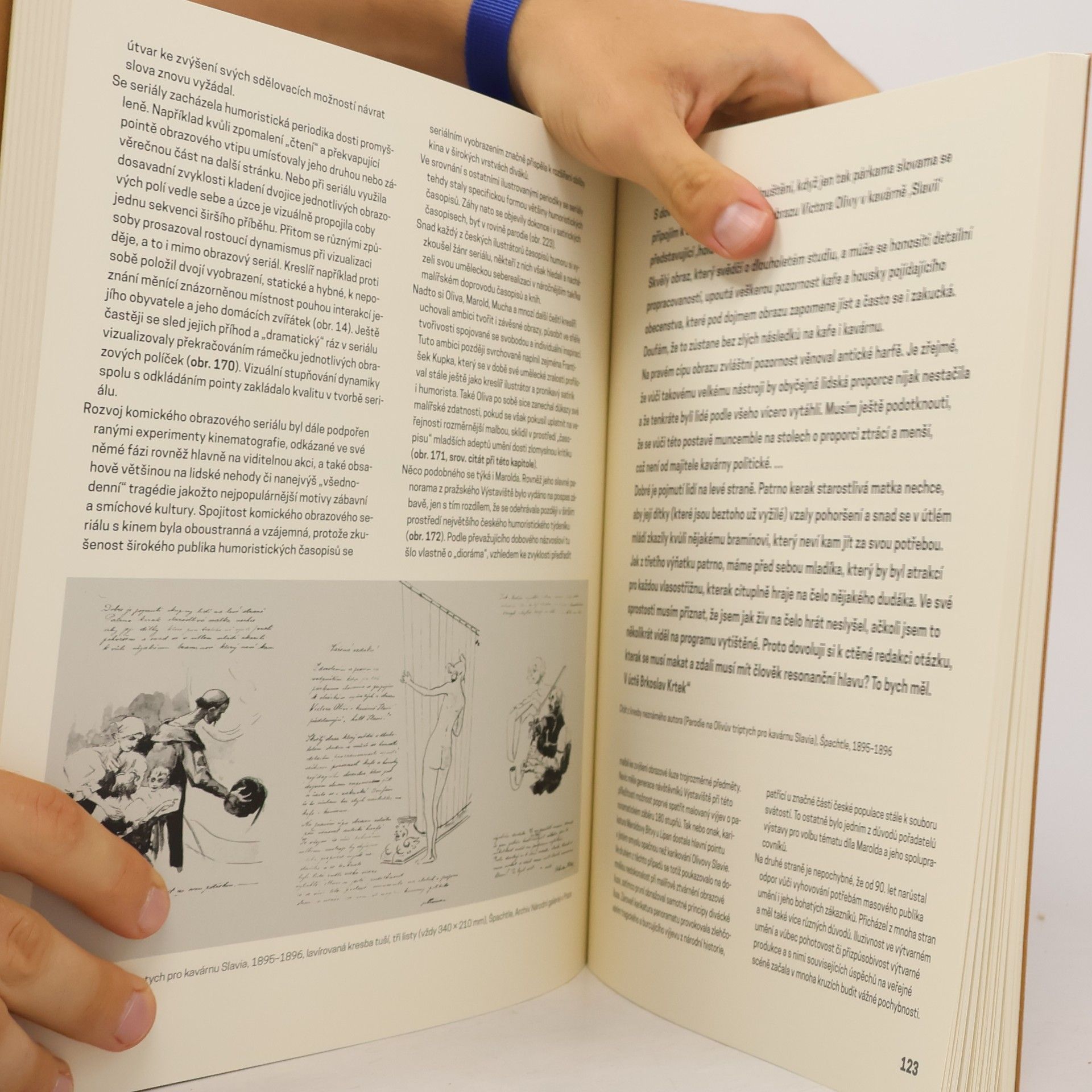 Roman Prahl Karikatura a její příbuzní : obrazový humor v českém prostředí 19. století