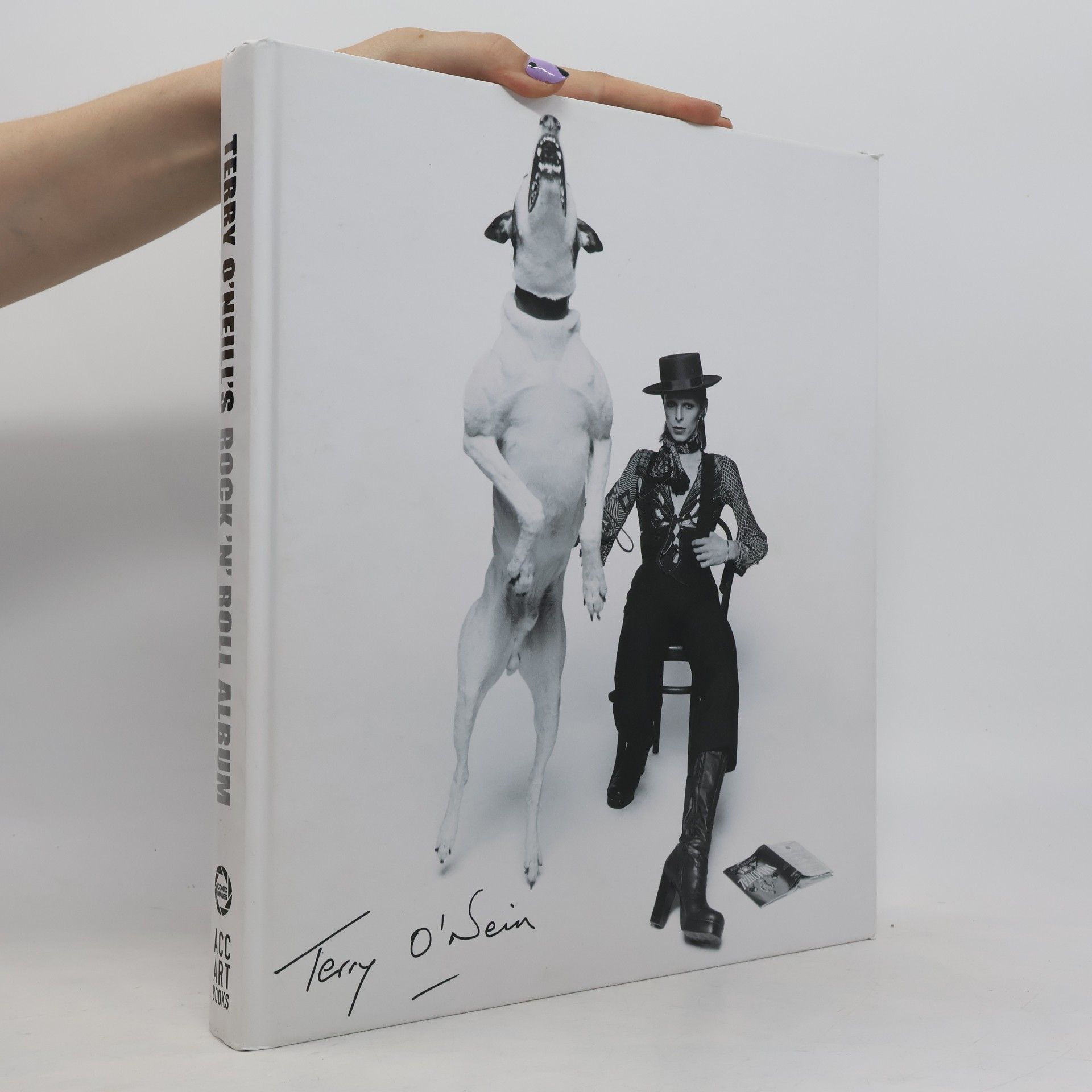 Terry O'Neill Terry O'Neill's Rock 'n' Roll Album