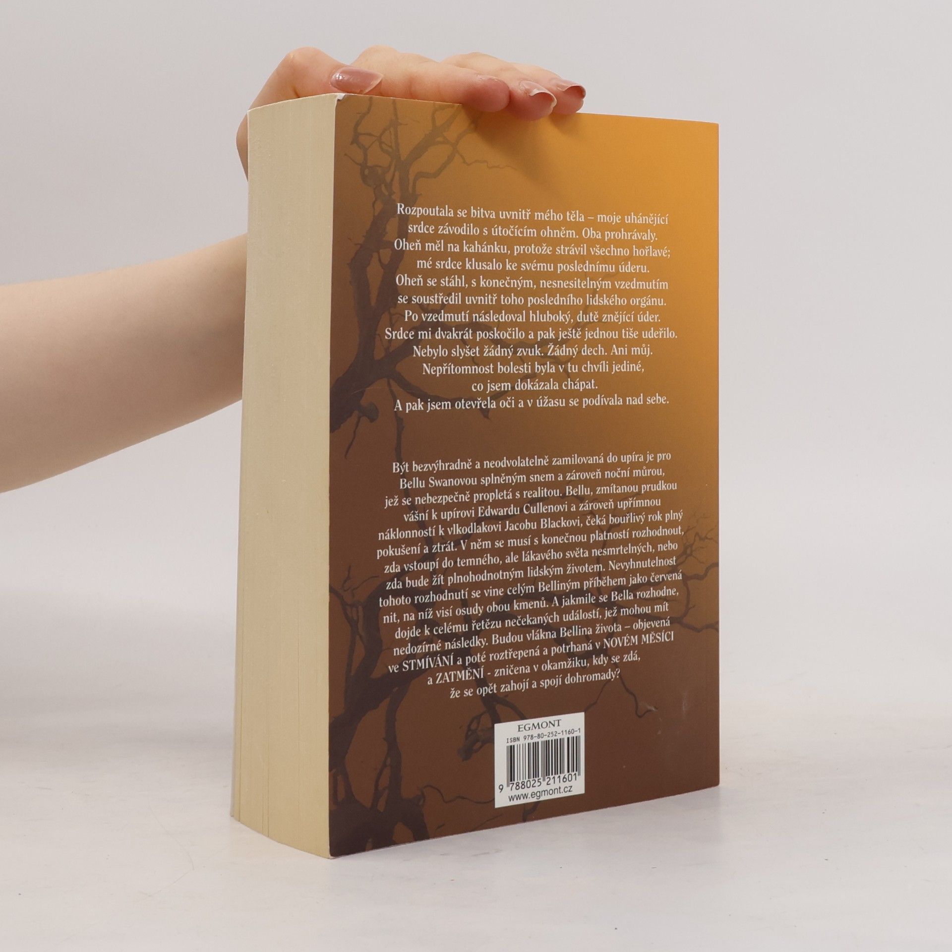 Stephenie Meyer Rozbřesk