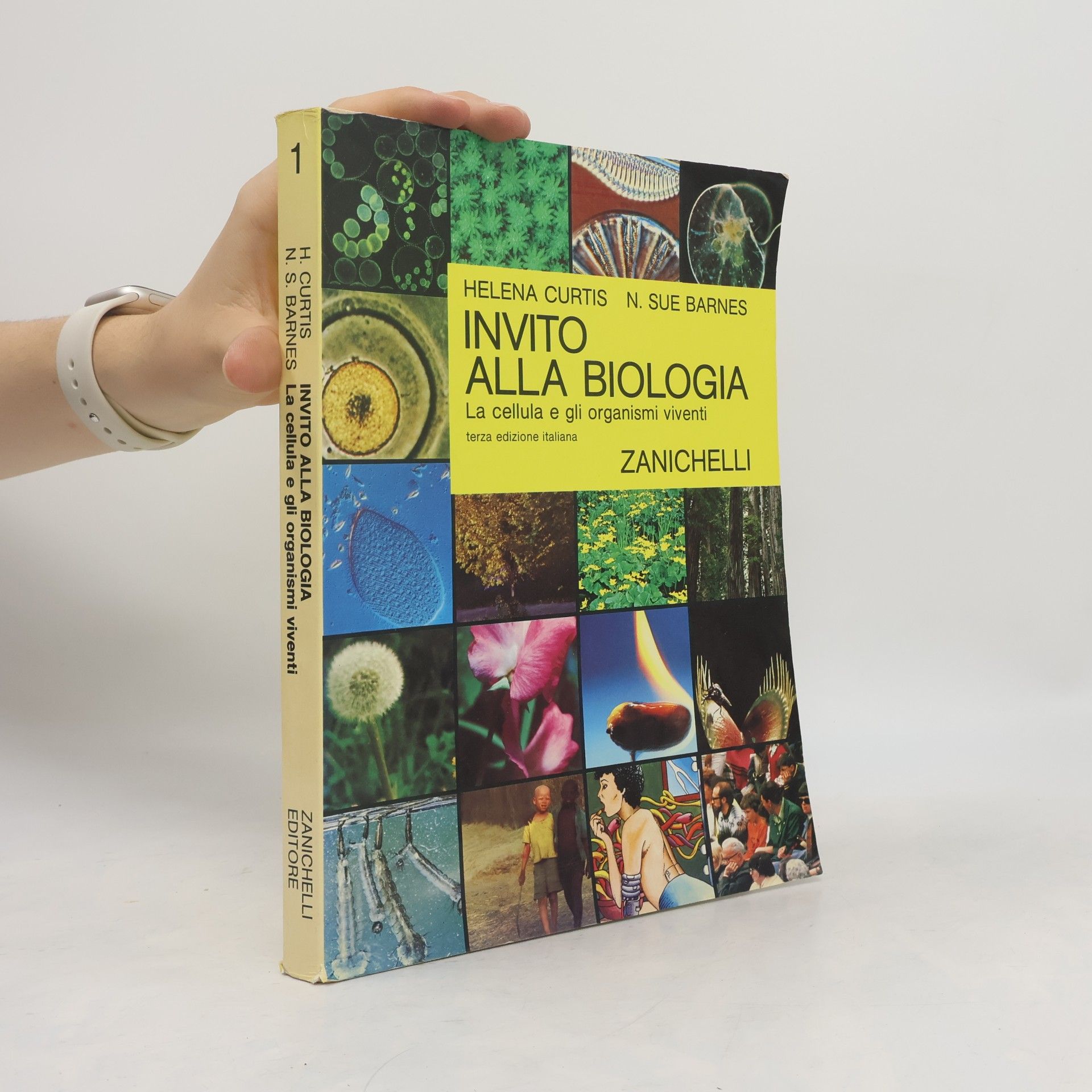 N. Sue Barnes Invito alla biologia