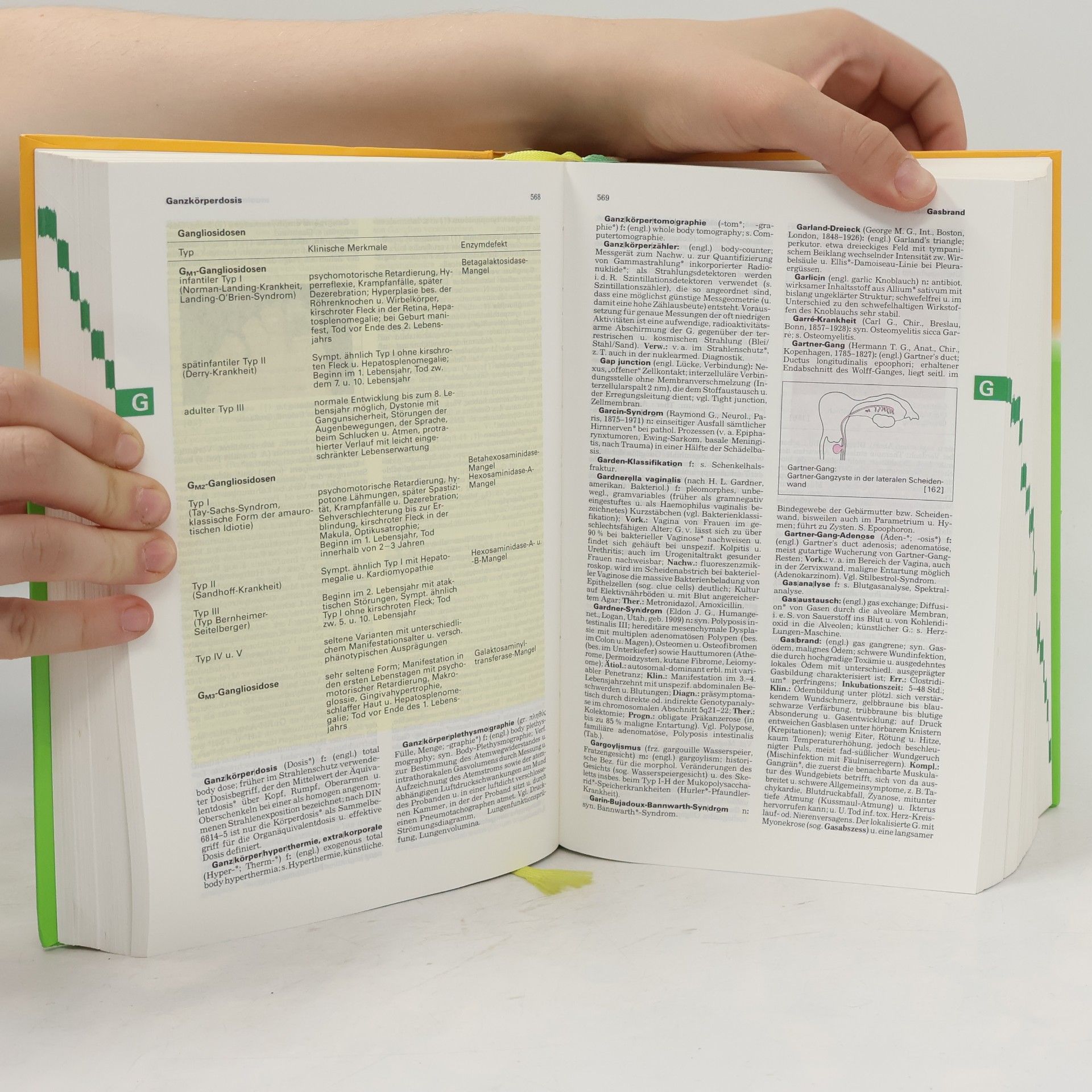 Collectif d'auteurs Pschyrembel Klinisches Worterbuch