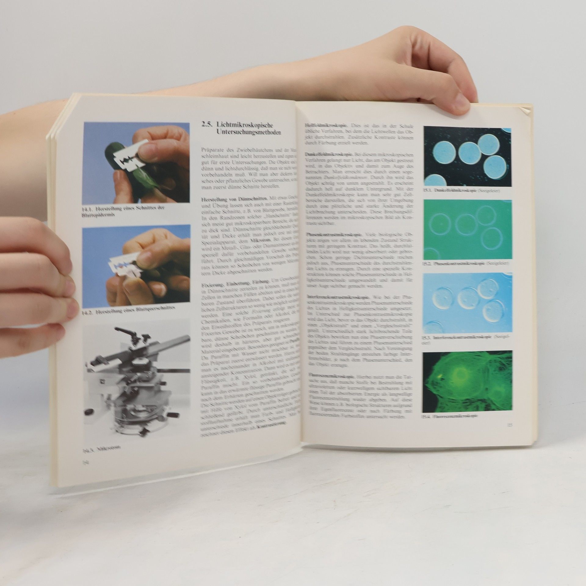 Karl Heinz Scharf Cytologie