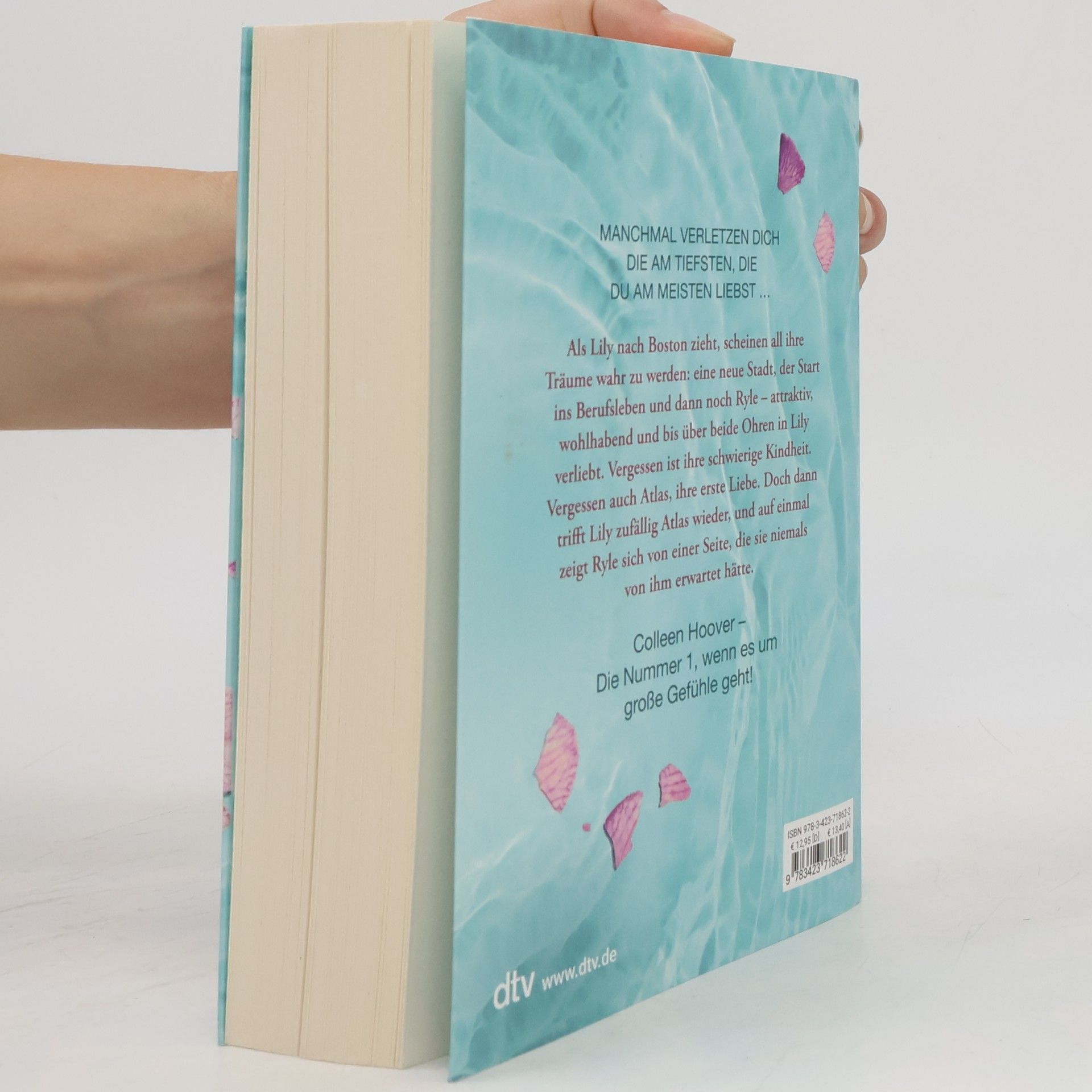 Colleen Hoover Nur noch ein einziges Mal