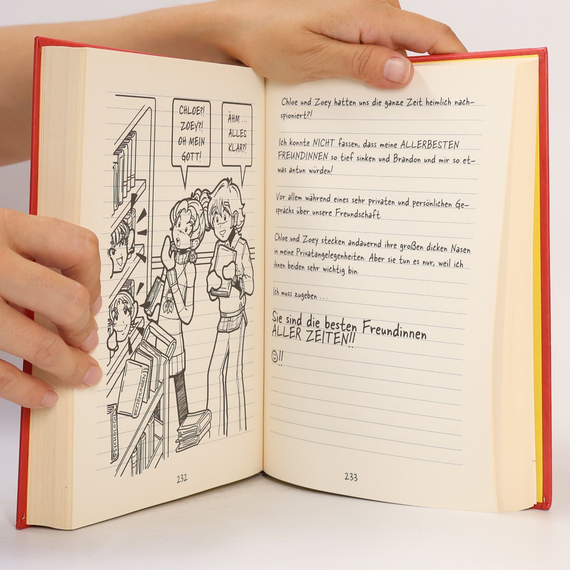 Ann Lecker Dork diaries. Nikkis perfektes erstes Date.