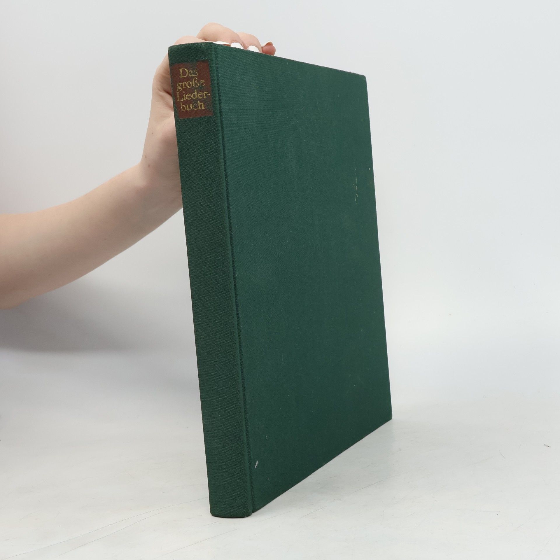 Anne Diekmann Das grosse Liederbuch