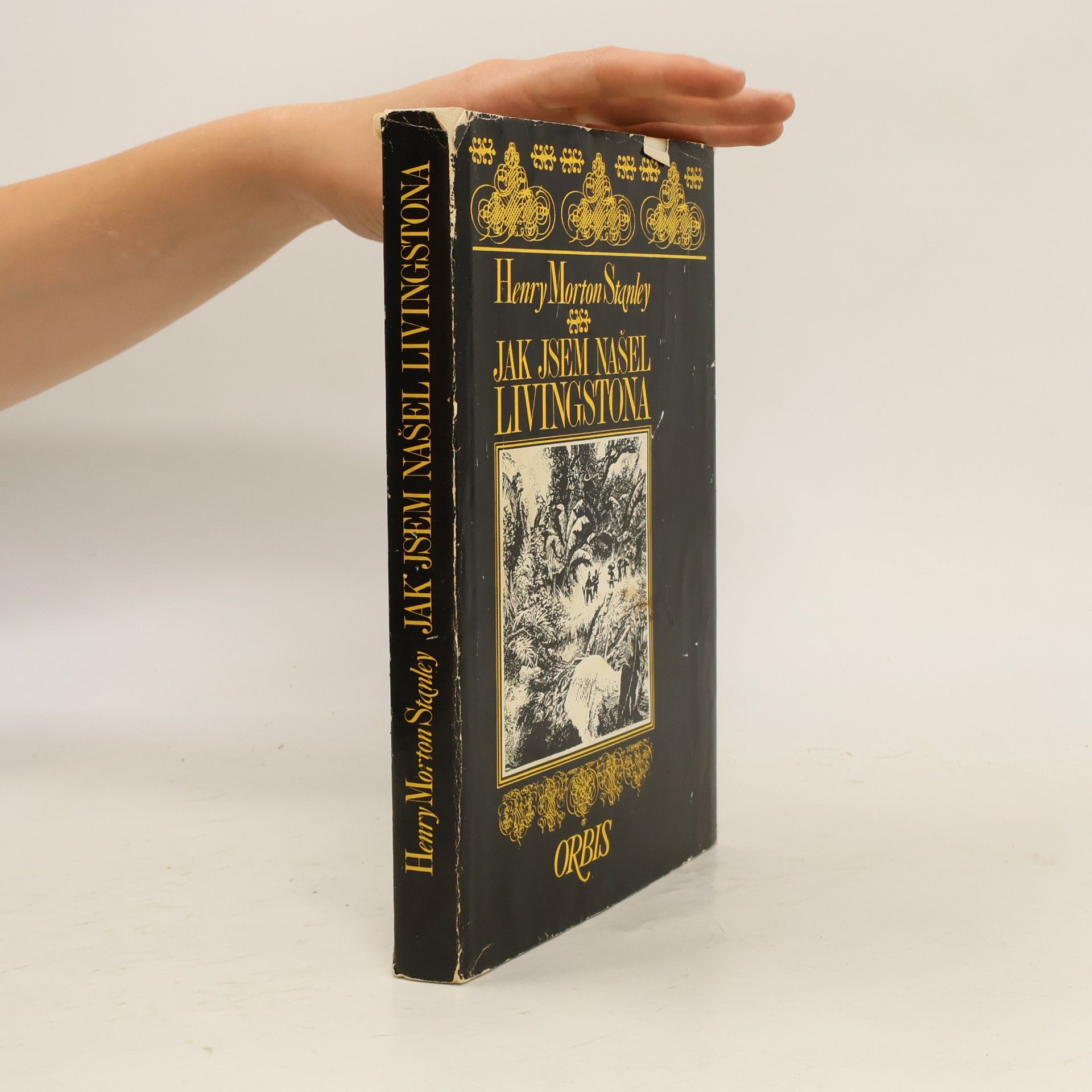 Henry Morton Stanley Jak jsem našel Livingstona