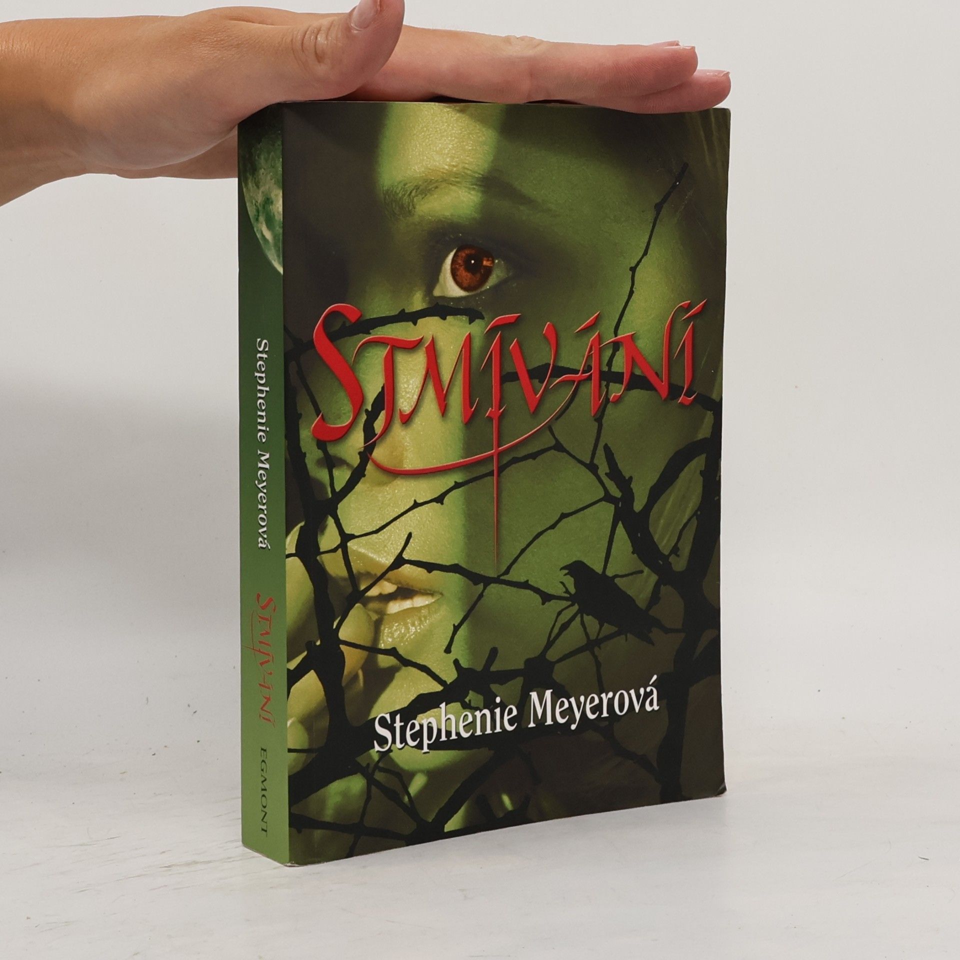 Stmívání