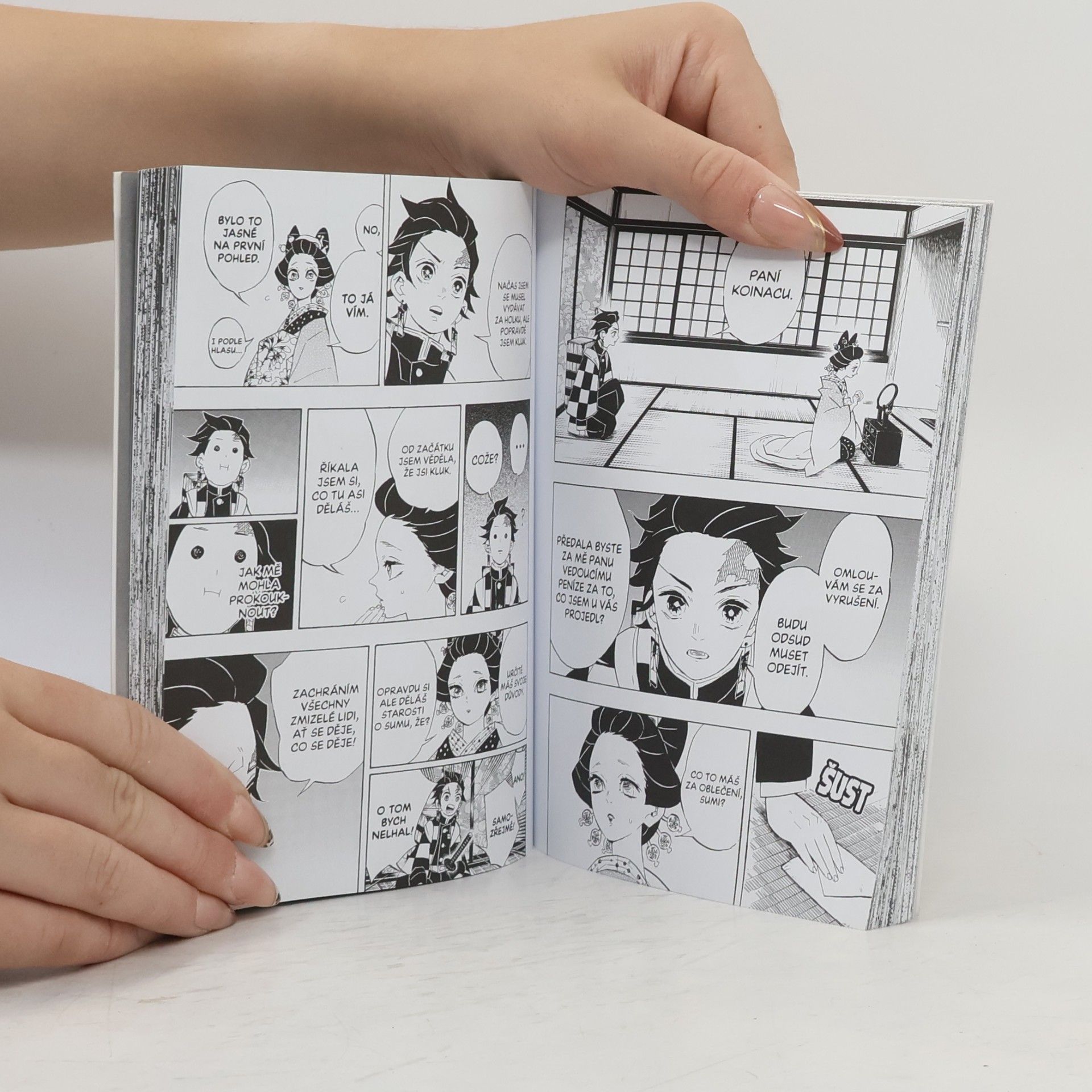 Koyoharu Gotoge Zabiják démonů 9: Velká infiltrace vykřičené čtvrti