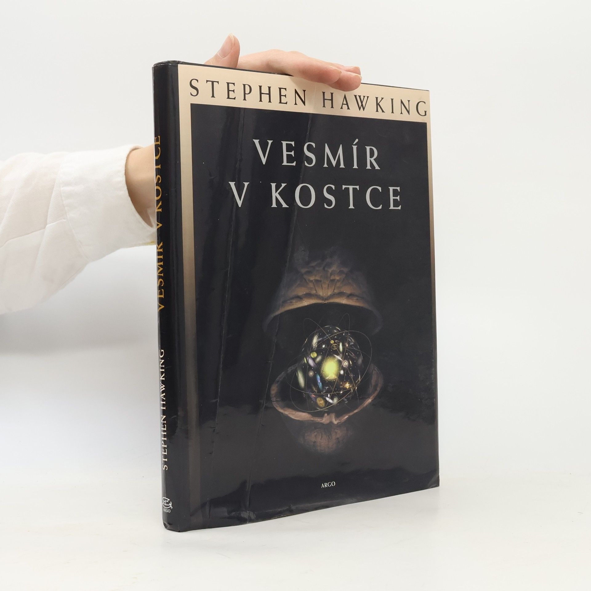 Stephen Hawking Vesmír v kostce