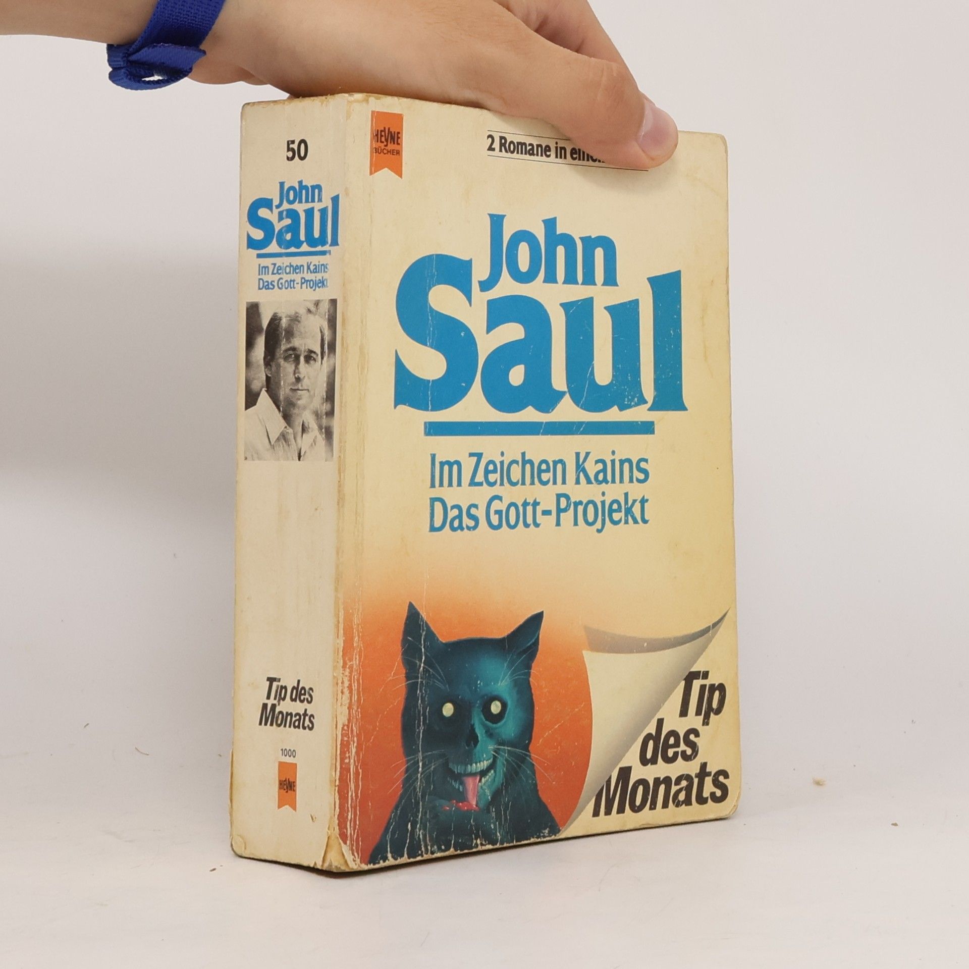 John Saul Im Zeichen Kains
