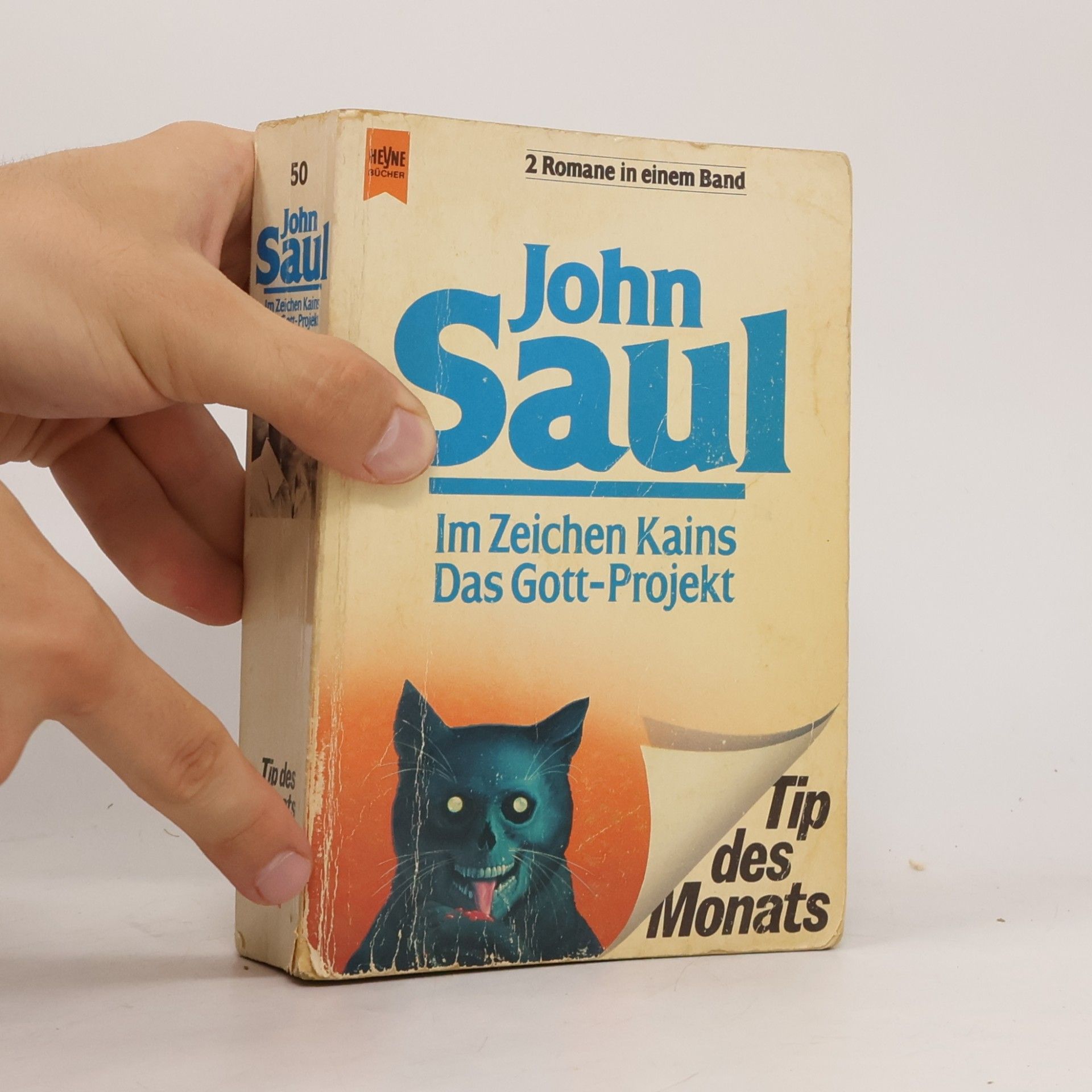 John Saul Im Zeichen Kains