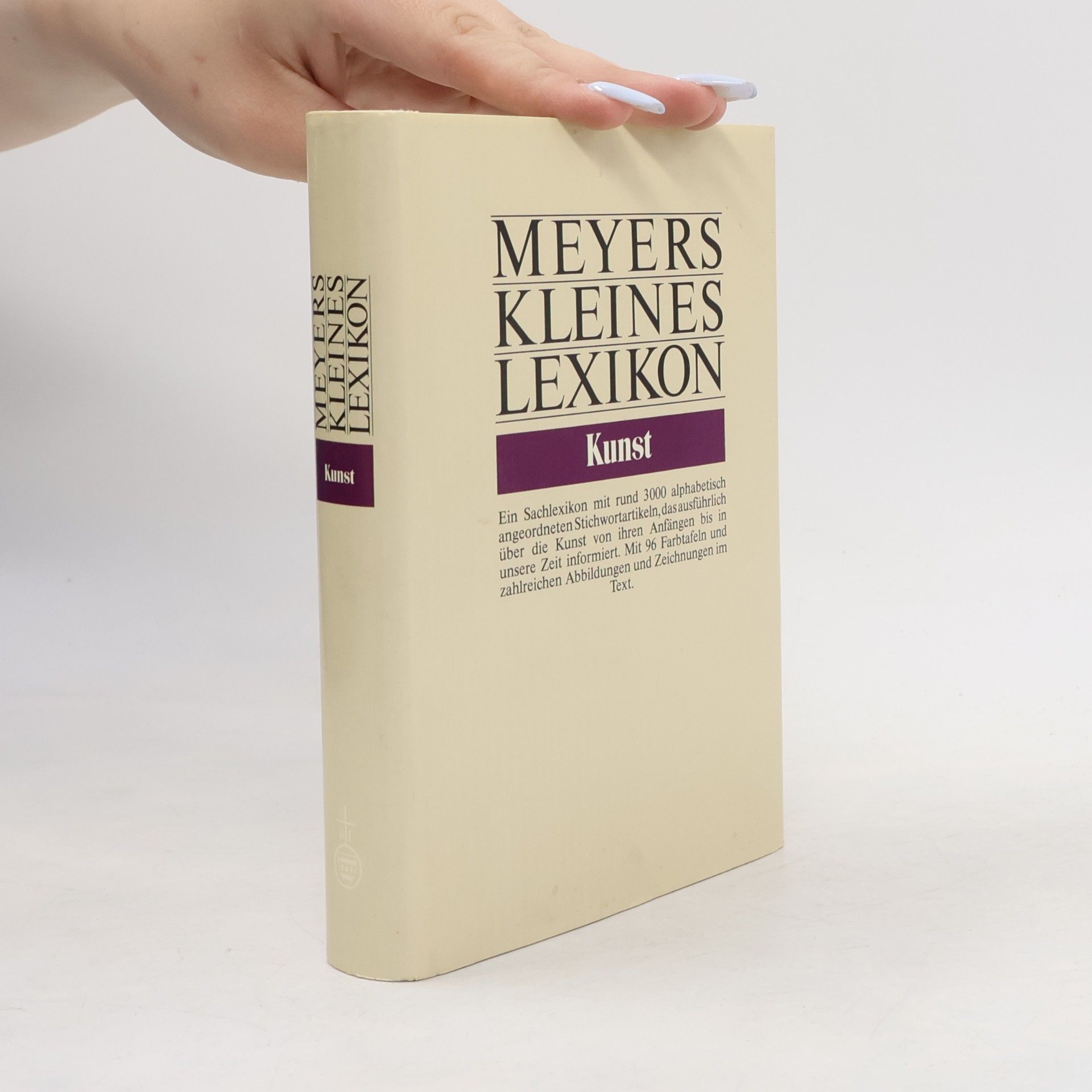 Manfred Wundram Meyers kleines Lexikon : Kunst