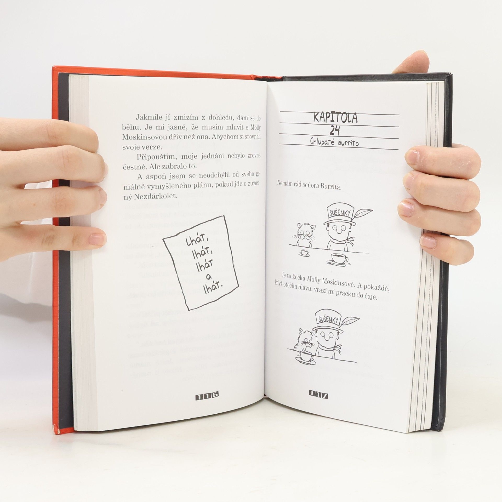 Stephan Pastis Timmy Nezdárek. 1. Díl. Chybička se vloudí