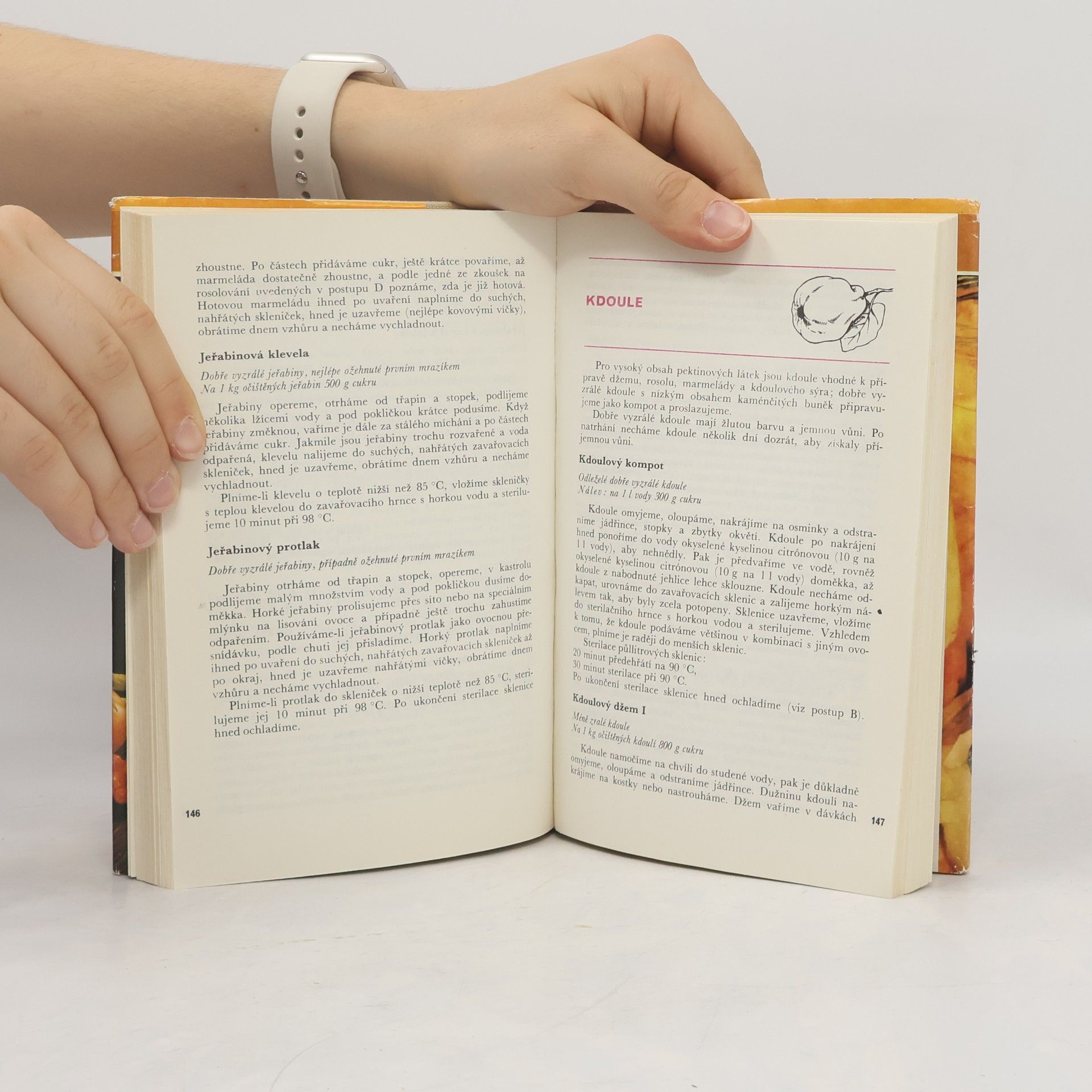 Autorenkollektiv Domácí konzervování ovoce a zeleniny