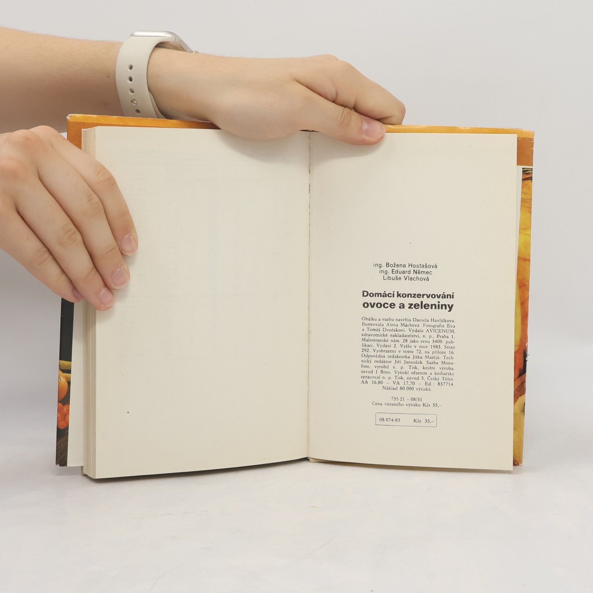 Autorenkollektiv Domácí konzervování ovoce a zeleniny