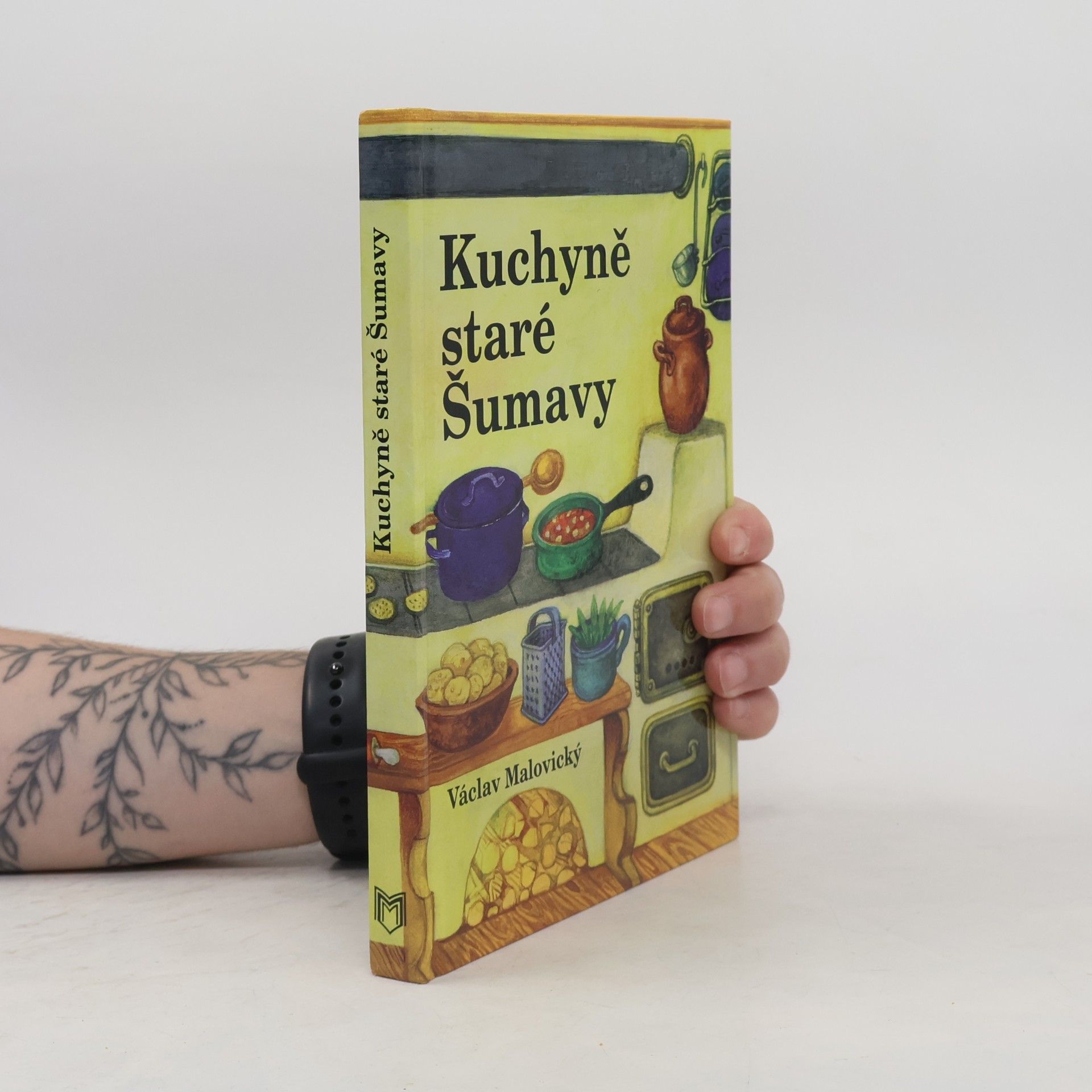 Václav Malovický Kuchyně staré Šumavy