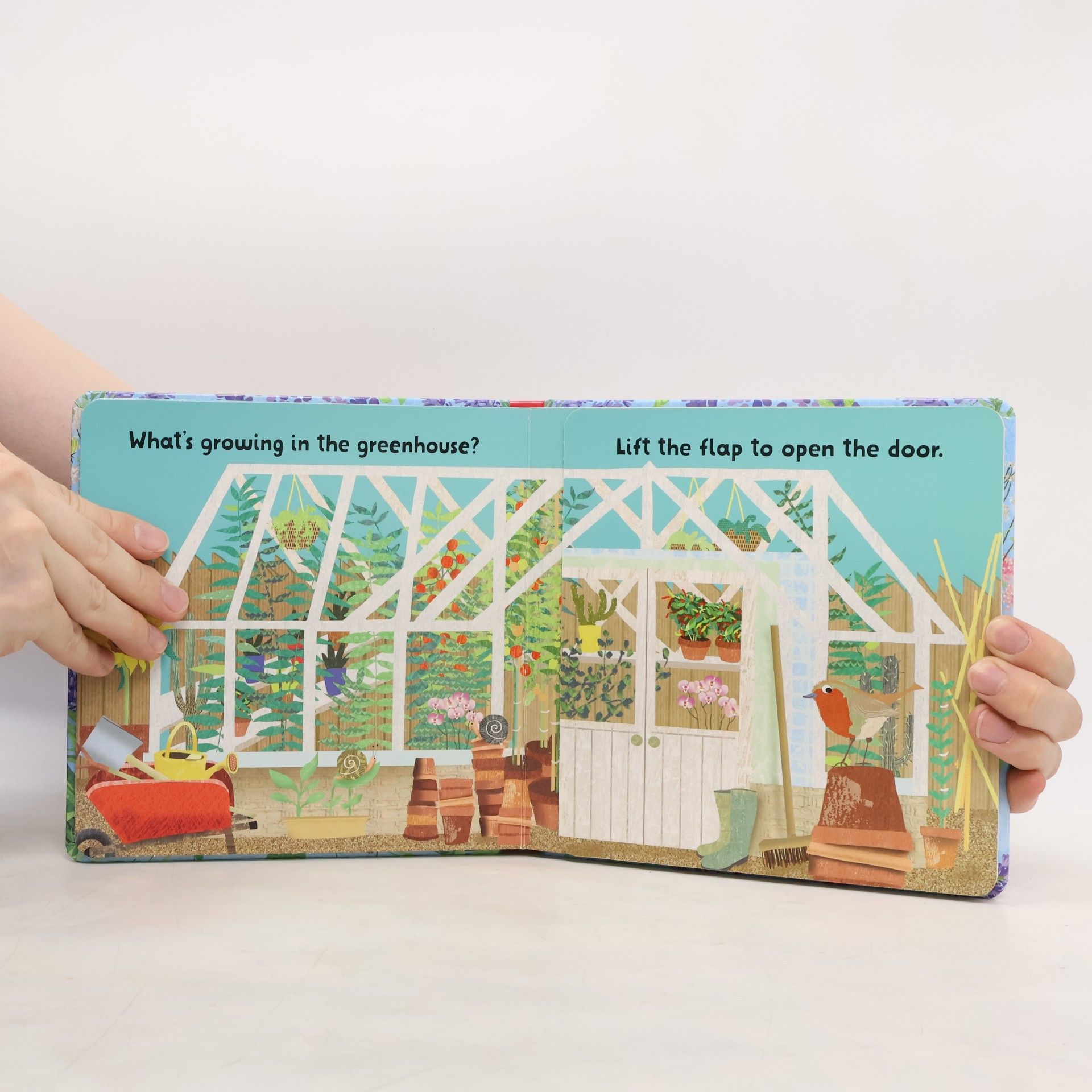 Tracy Cottingham Kew: Lift and Look Flowers and Plants