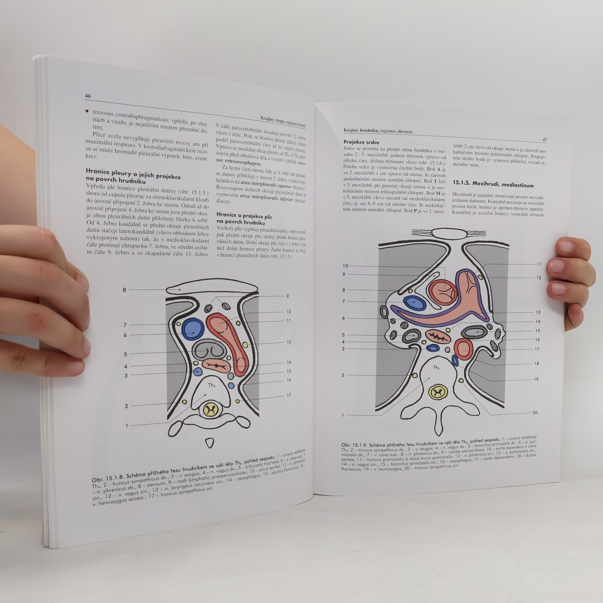 Miloš Grim Základy anatomie. 5., Anatomie krajin těla