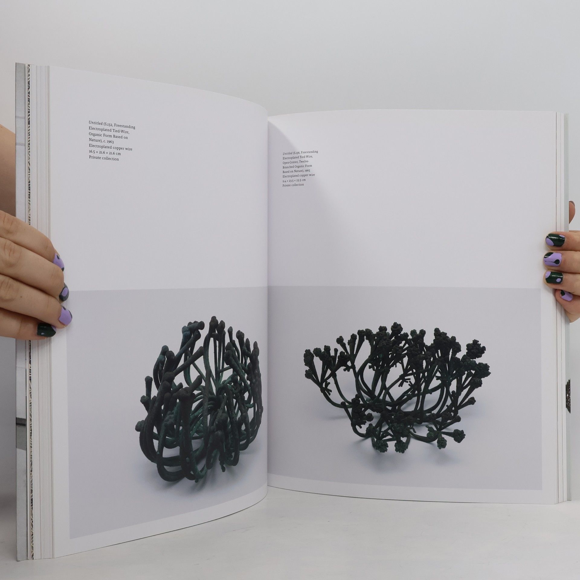 Claudette Johnson Ruth Asawa: Citizen of the Universe