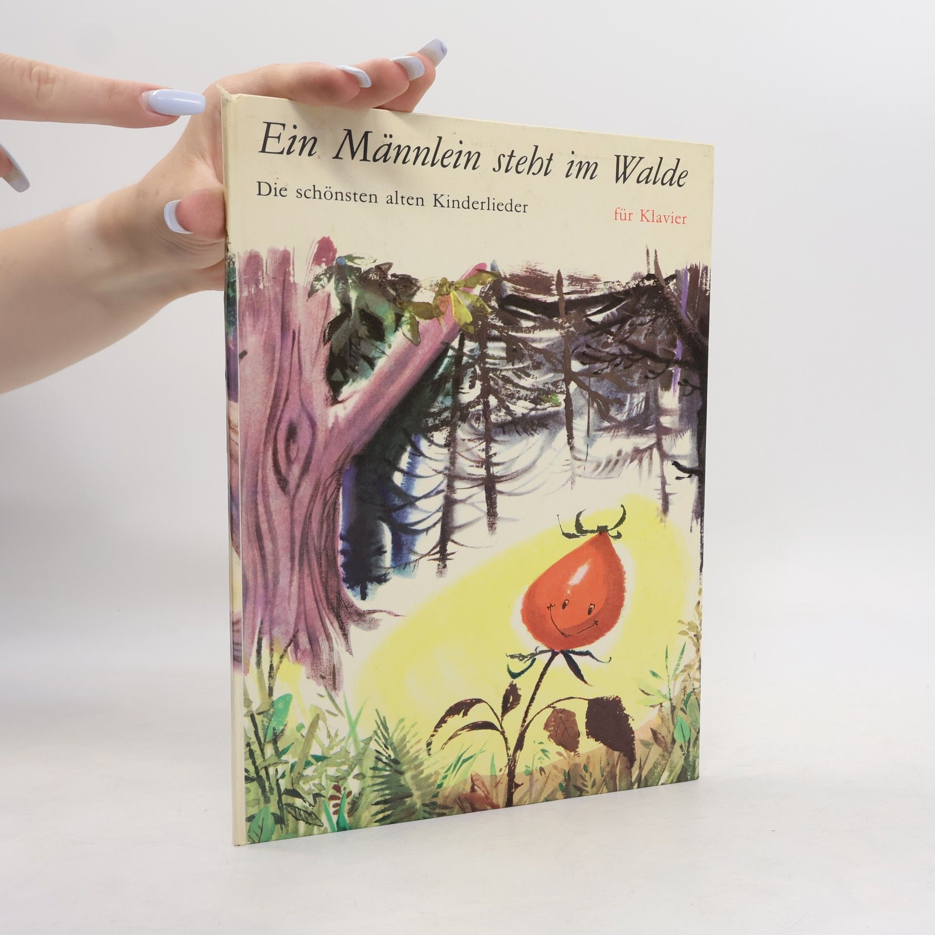 Autores varios Ein Männlein steht im Walde