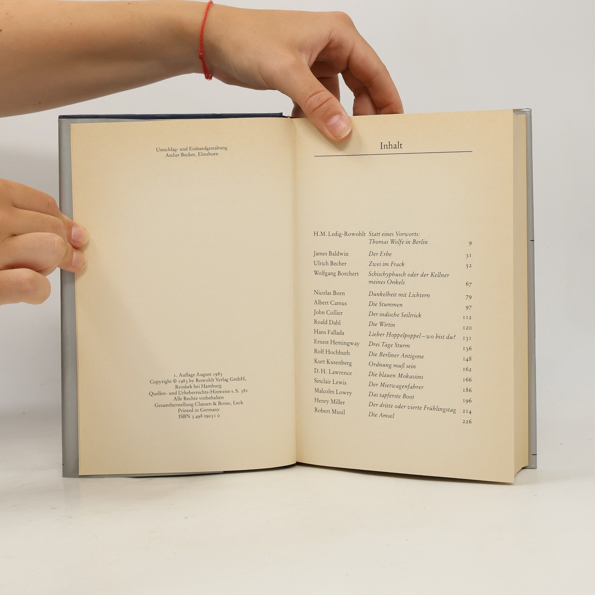 Autorenkollektiv Große Erzähler des 20. Jahrhunderts