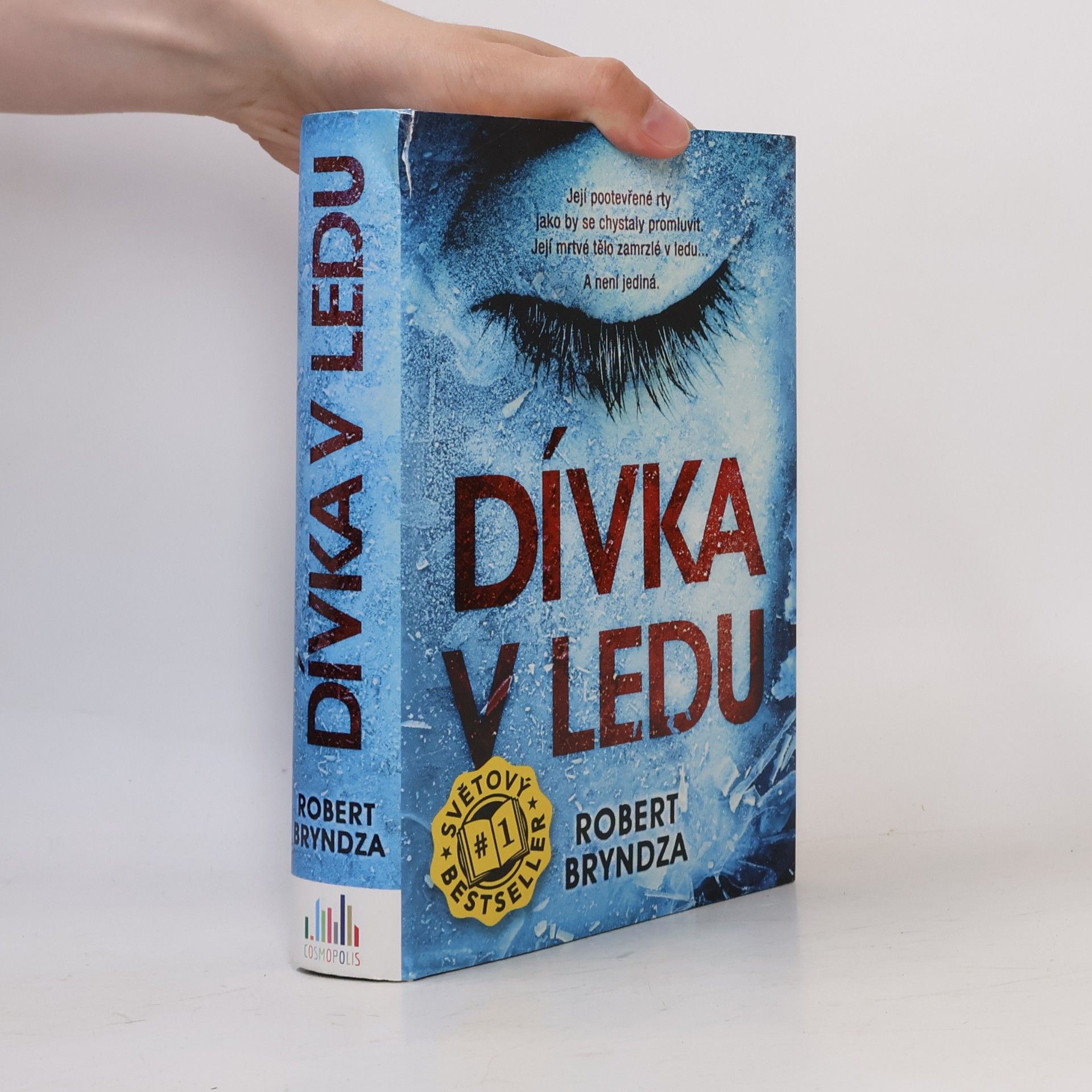 Robert Bryndza Dívka v ledu
