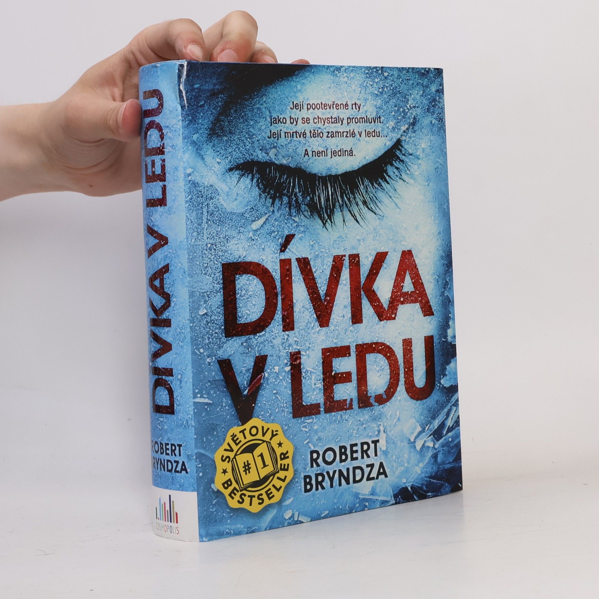 Robert Bryndza Dívka v ledu