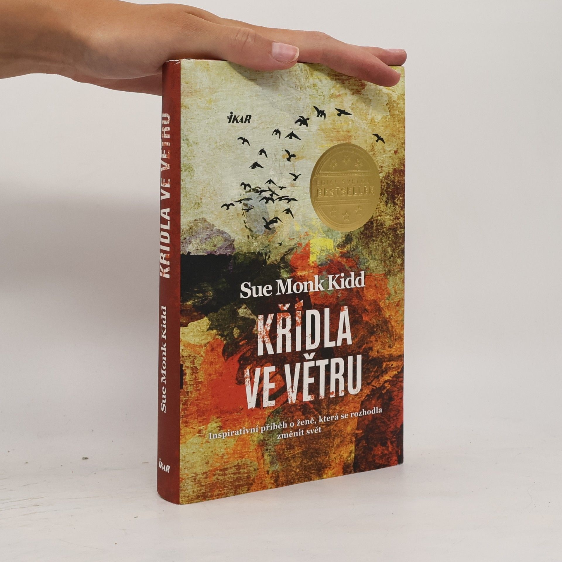 Sue Monk Kidd Křídla ve větru