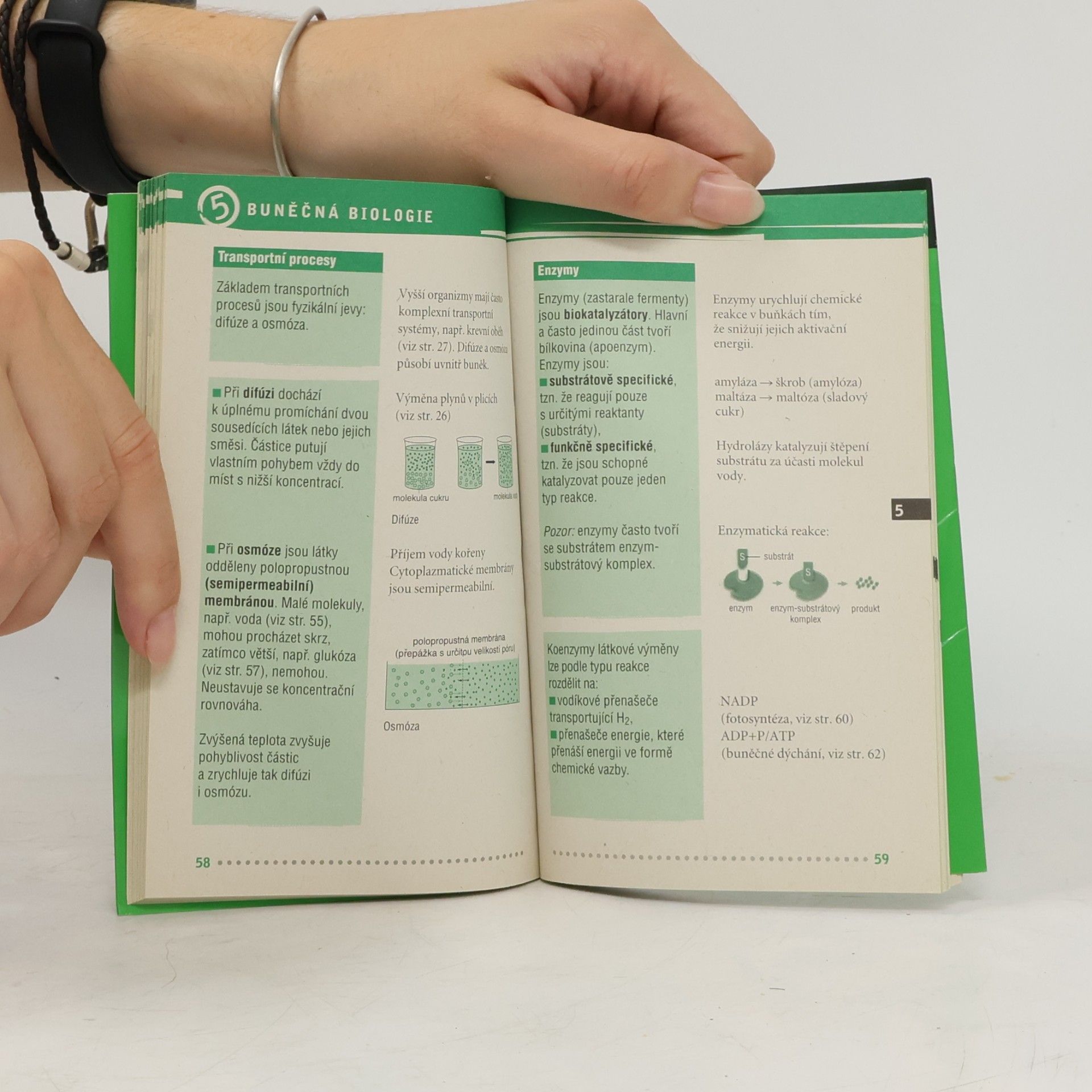 Autorenkollektiv SMS biologie