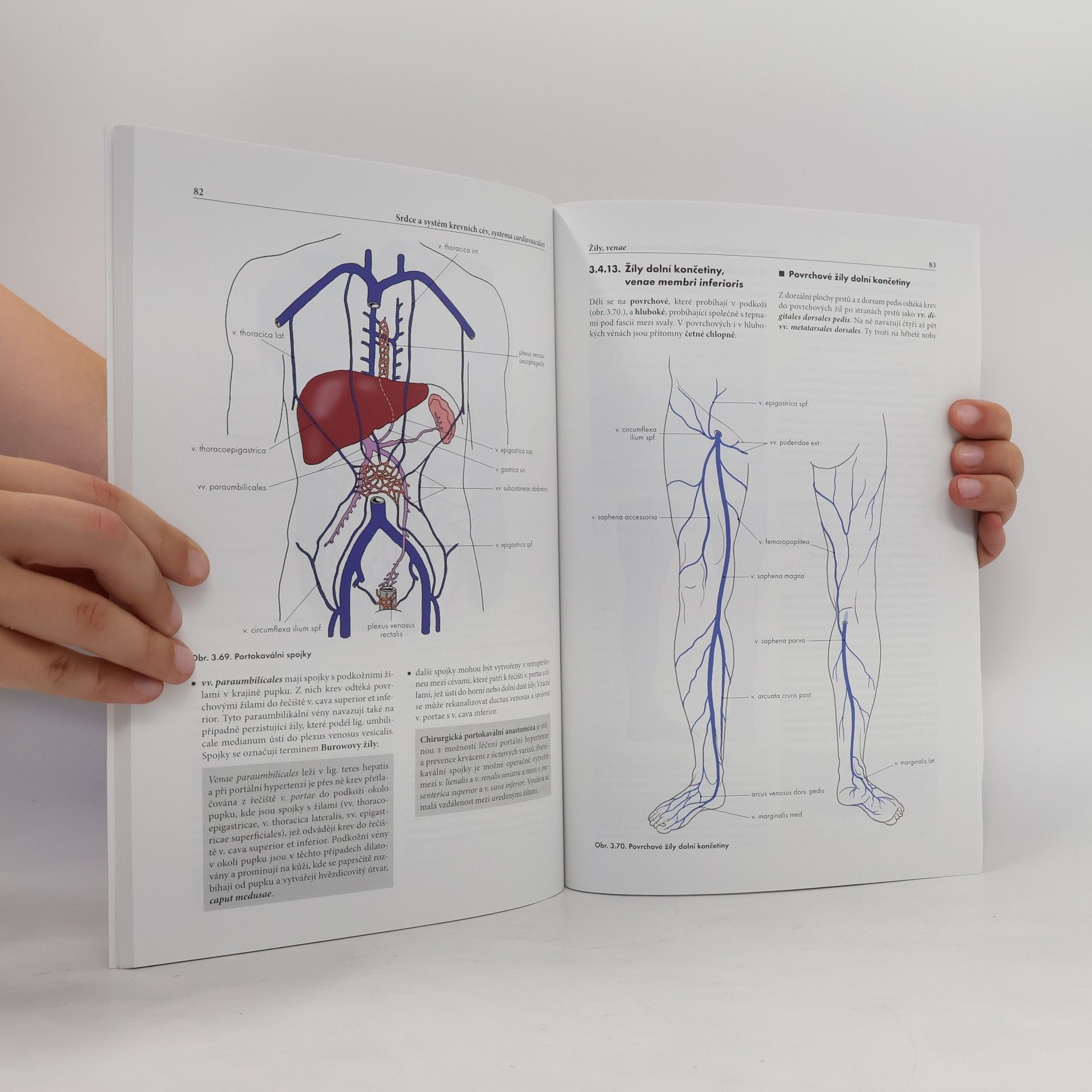 Miloš Grim Základy anatomie. 2., Kardiovaskulární a lymfatický systém