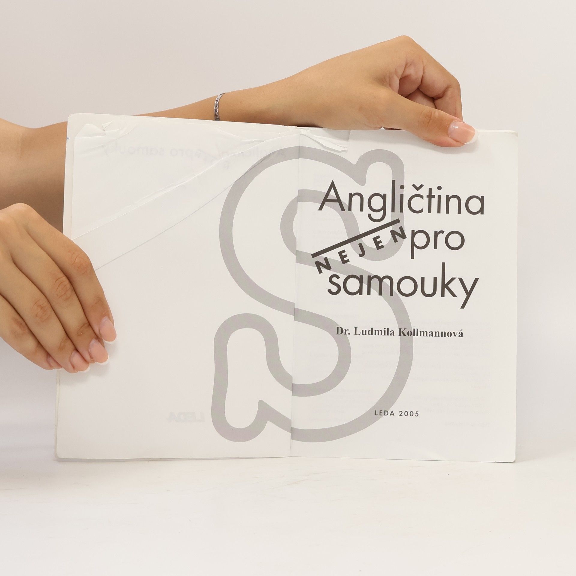 Ludmila Kollmannová Angličtina nejen pro samouky. Učebnice