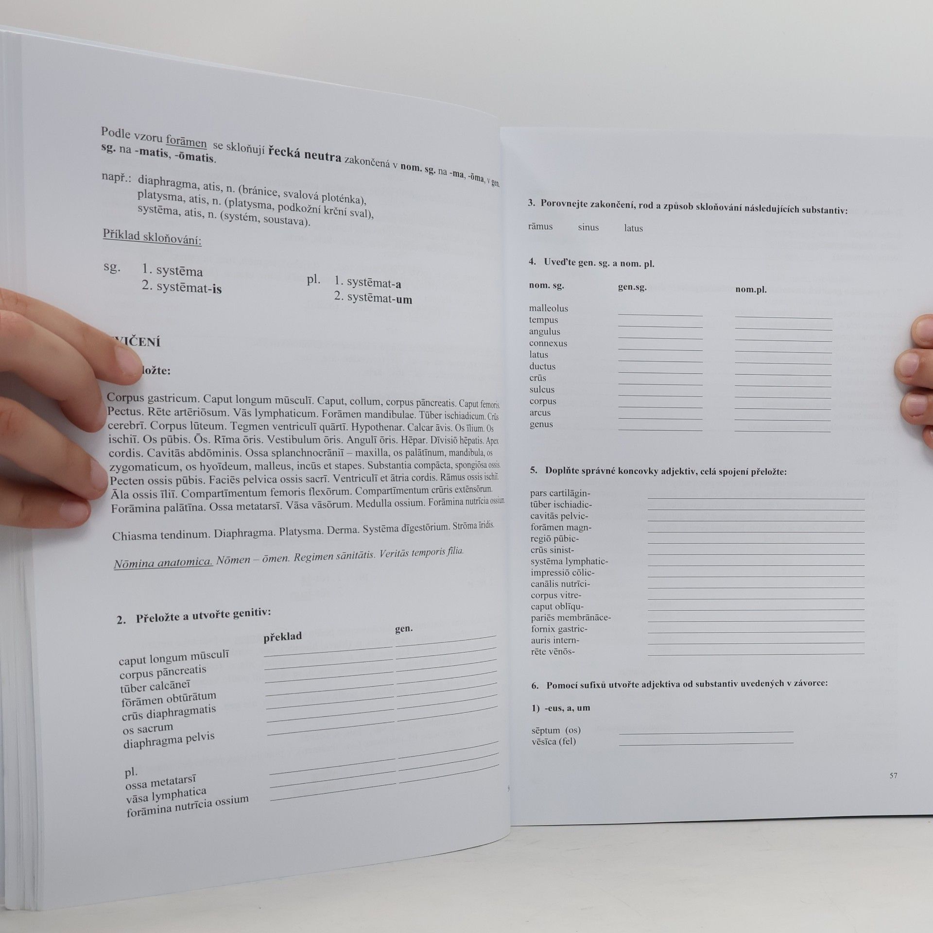 Jiřina Plašilová Základy latinské lékařské terminologie