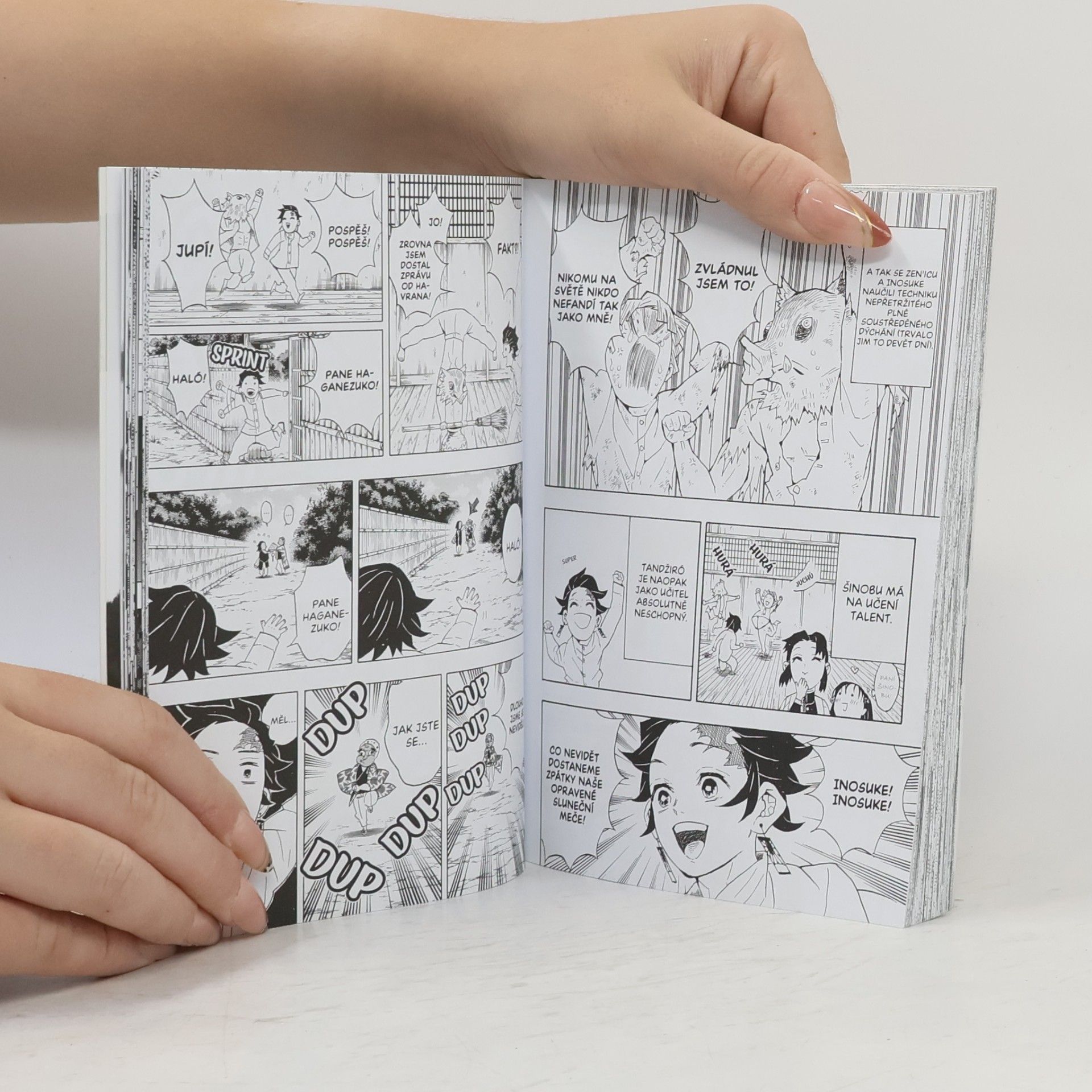 Koyoharu Gotōge Zabiják démonů. 6, Soud Pilířů