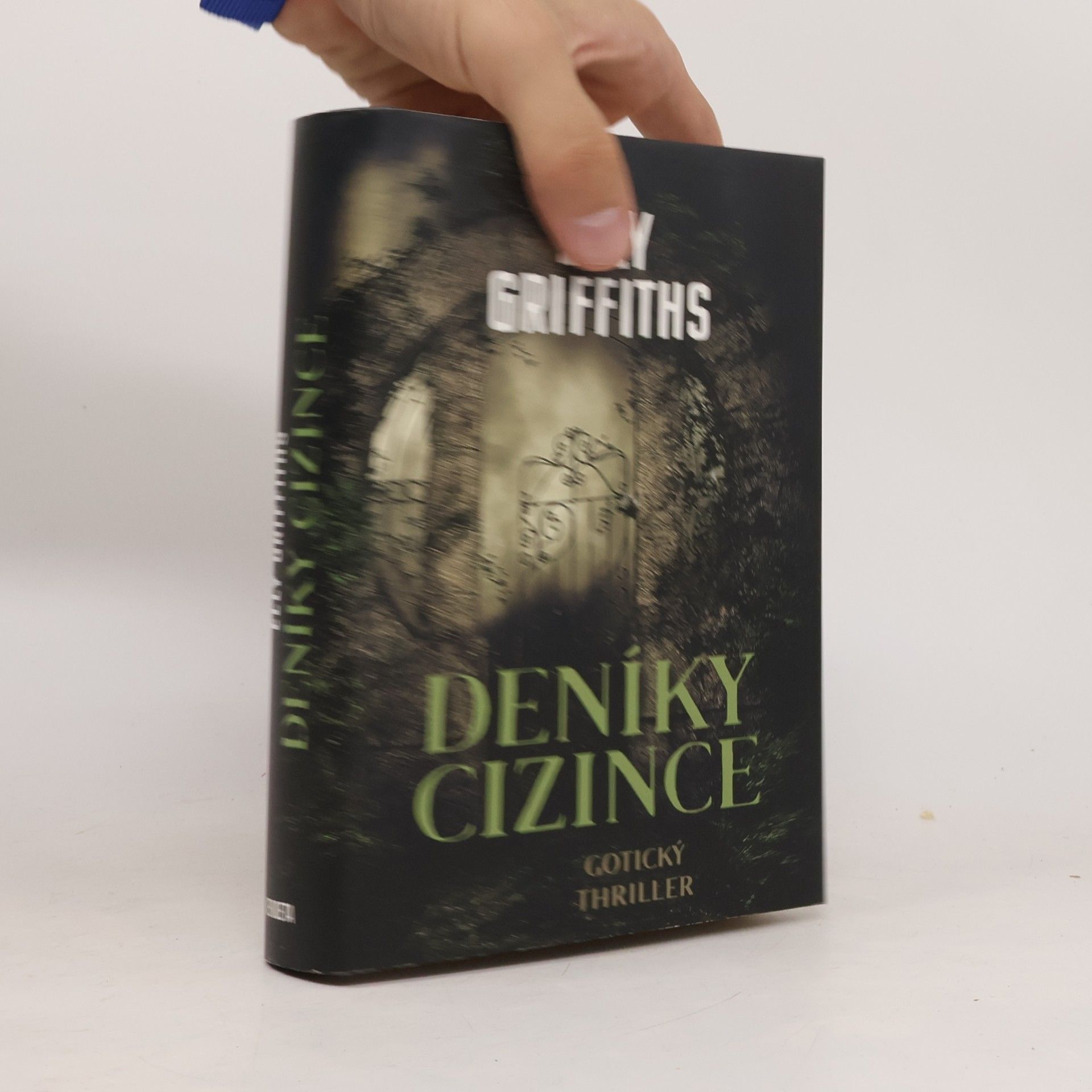 Deníky cizince