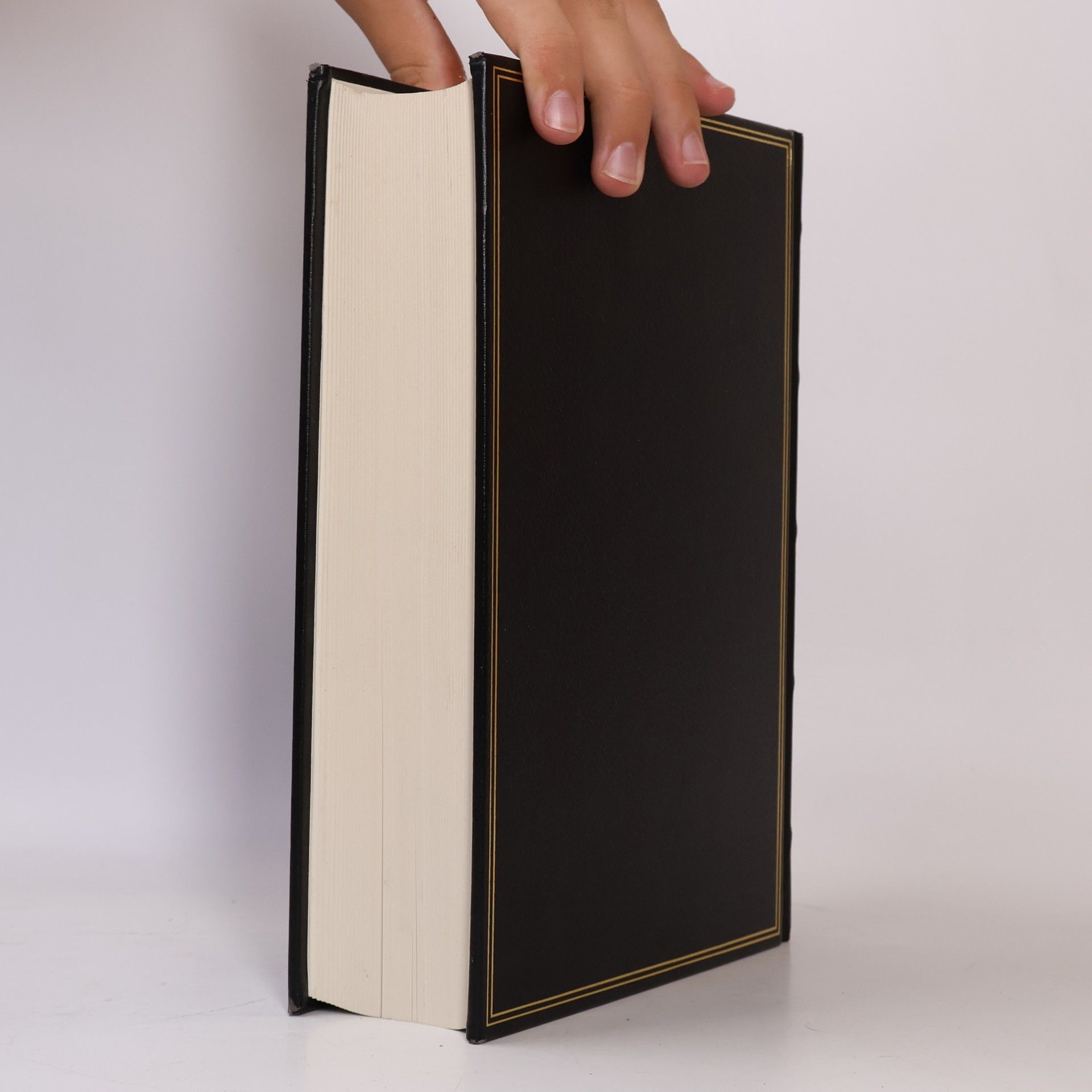 Autorenkollektiv Brockhaus Enzyklopädie 24 (Wek-Zz)