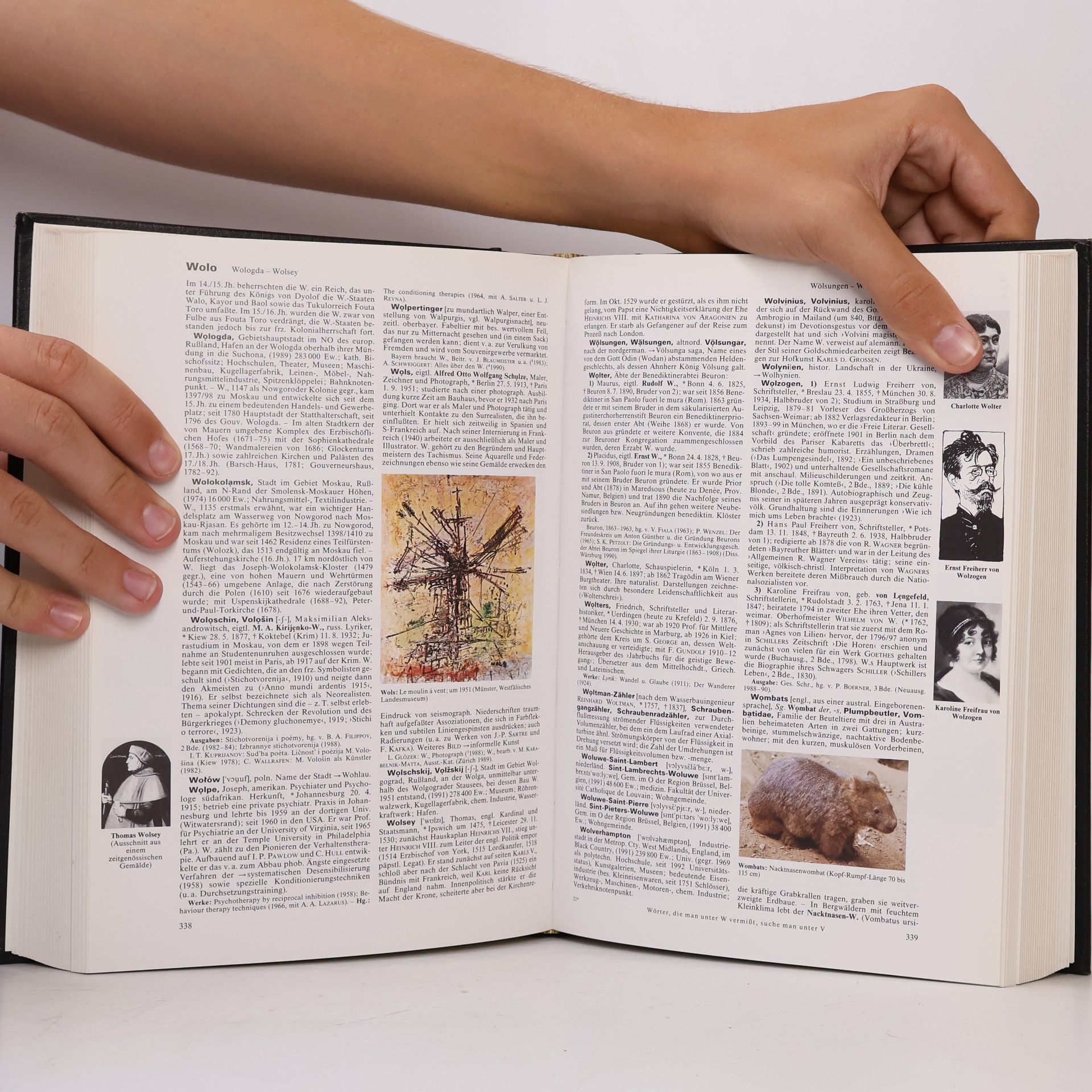 Autorenkollektiv Brockhaus Enzyklopädie 24 (Wek-Zz)
